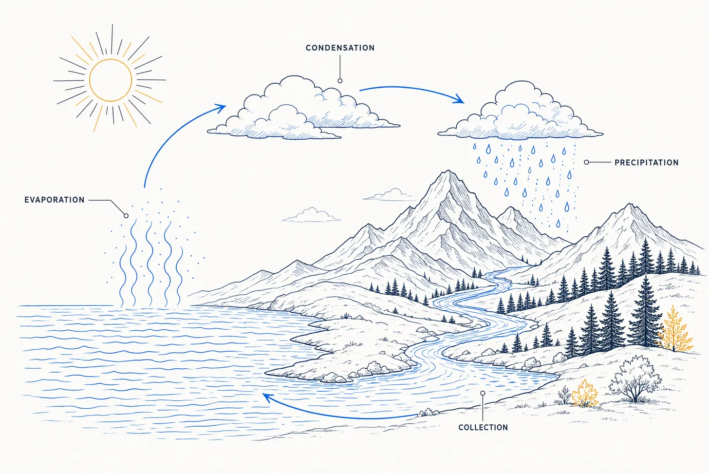 ConceptViz example: a clean labeled water-cycle diagram