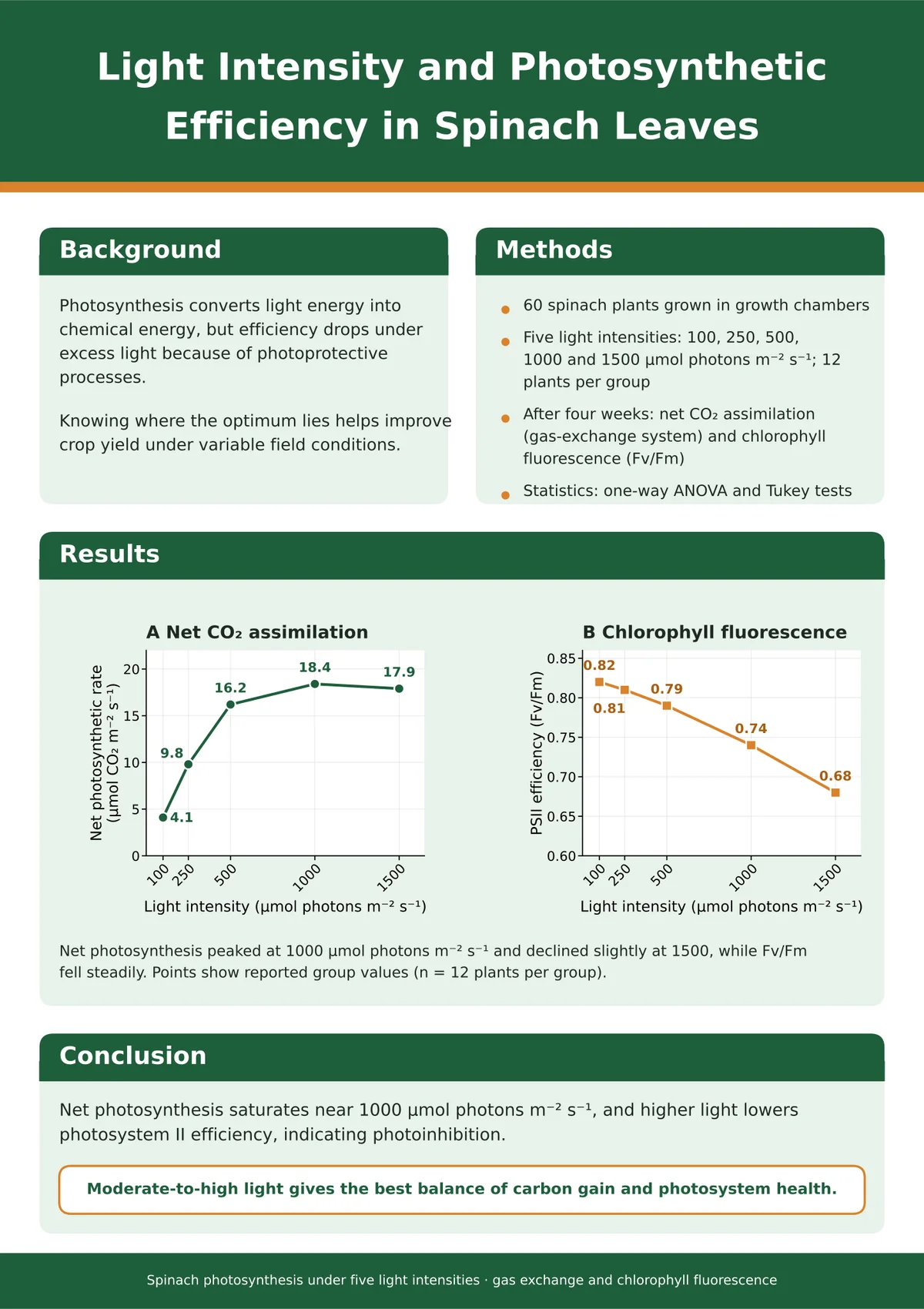 Editable academic poster on light intensity and photosynthetic efficiency in spinach, with charts of the supplied values