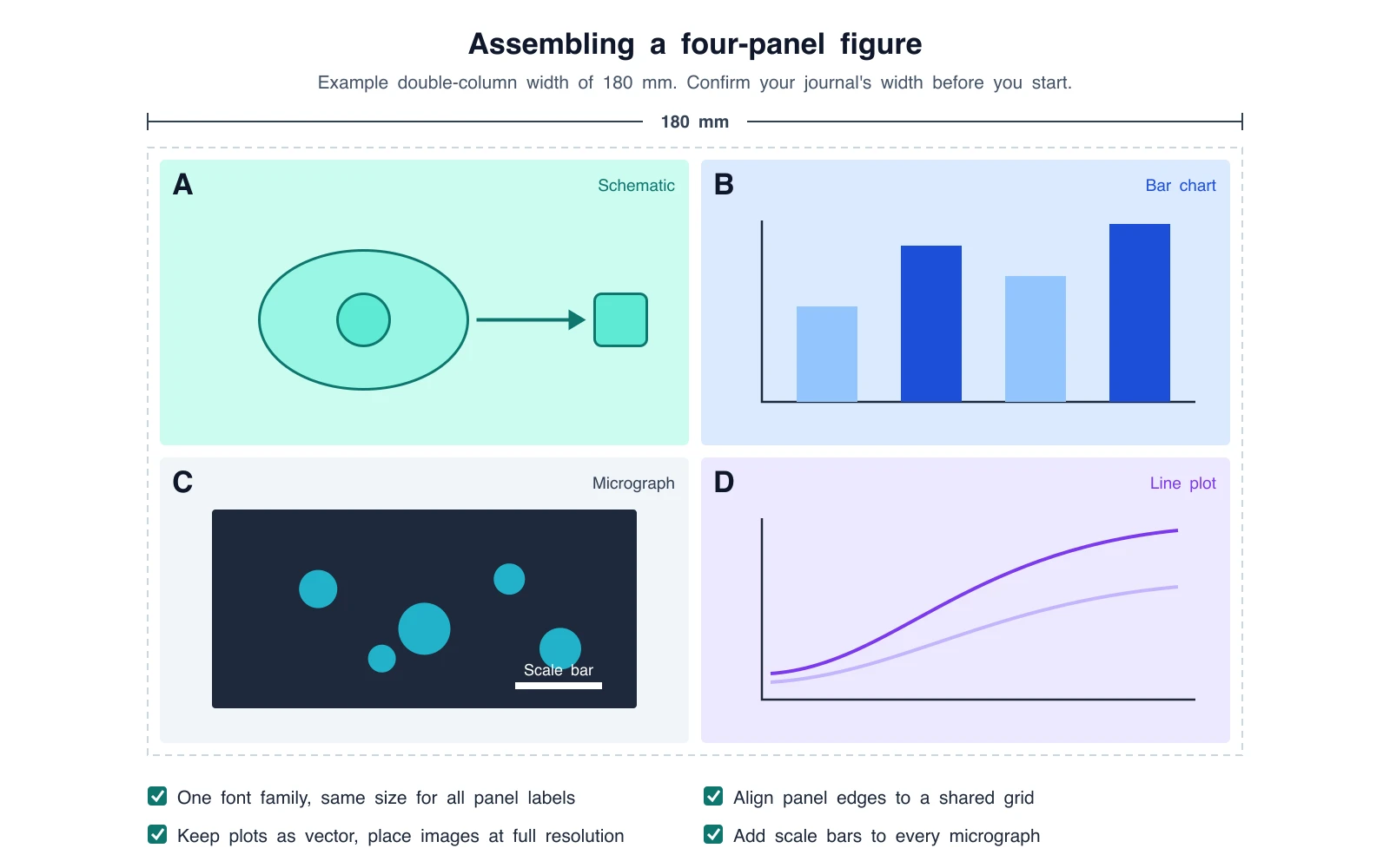 Four-panel figure assembly template at an example 180 mm double-column width, with a schematic, bar chart, micrograph with scale bar, and line plot