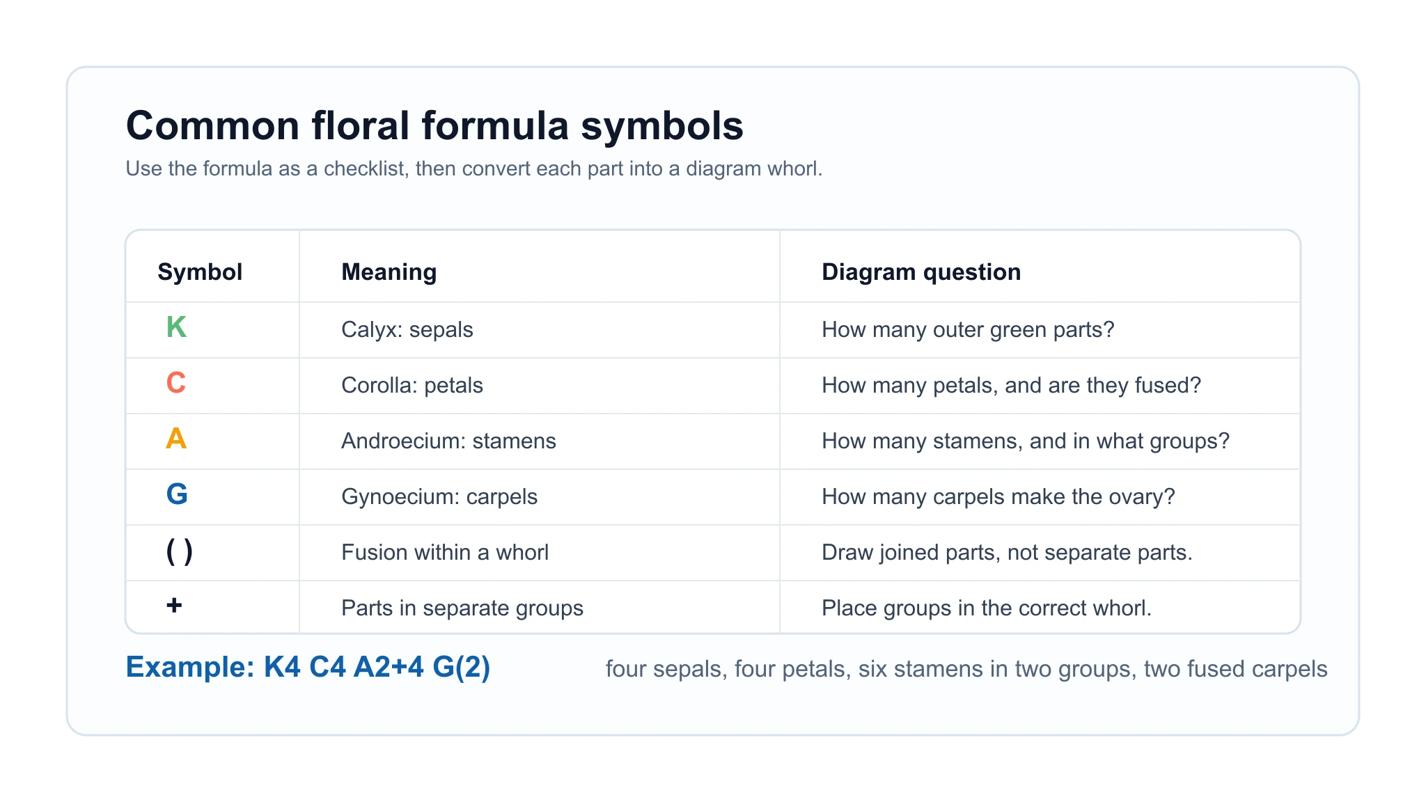 Common floral formula symbols and their diagram meaning