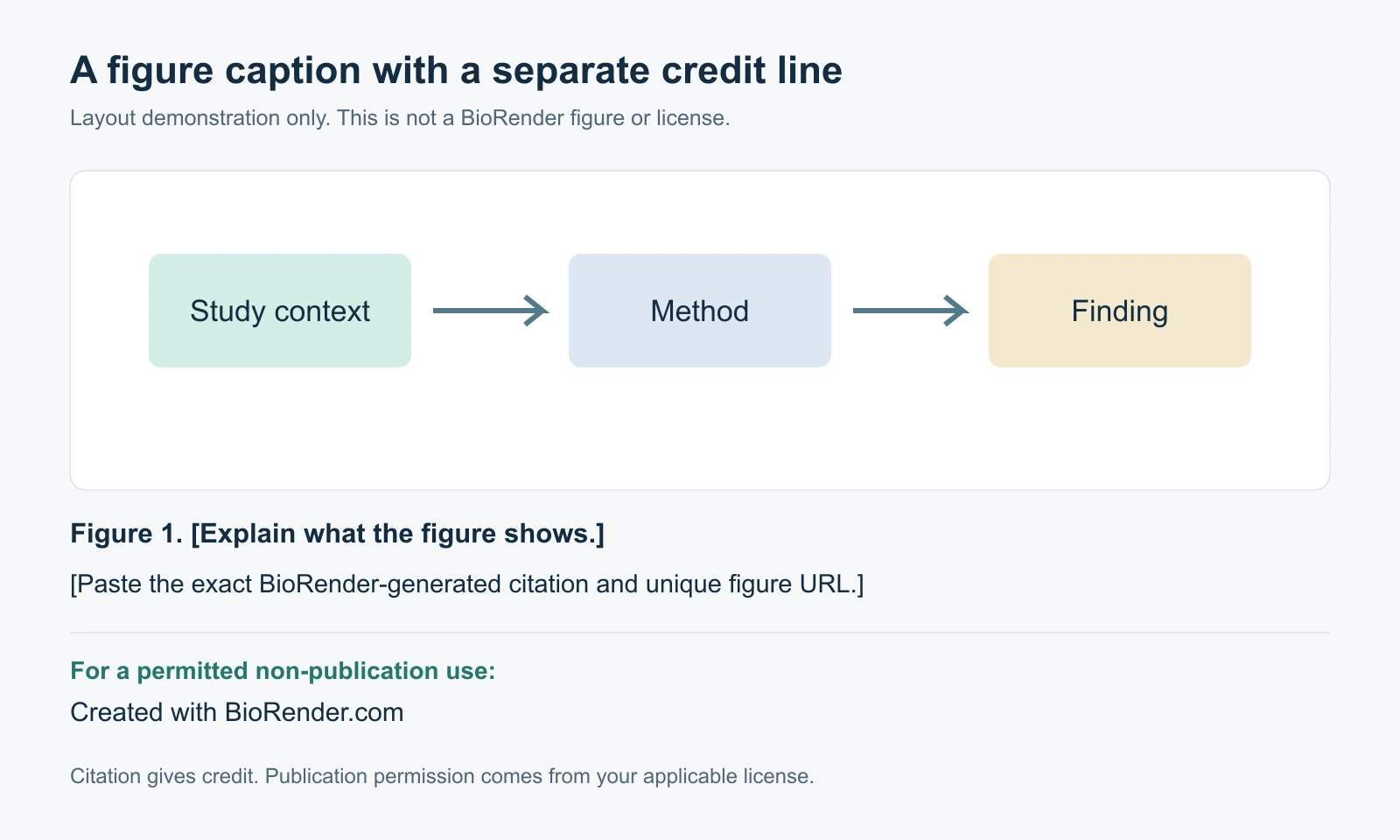 How to Cite BioRender: Figures and Publication Licenses