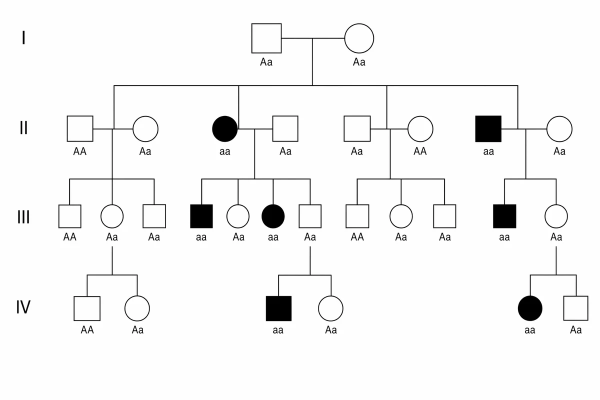 Autosomal recessive pedigree — diagram generated with ConceptViz