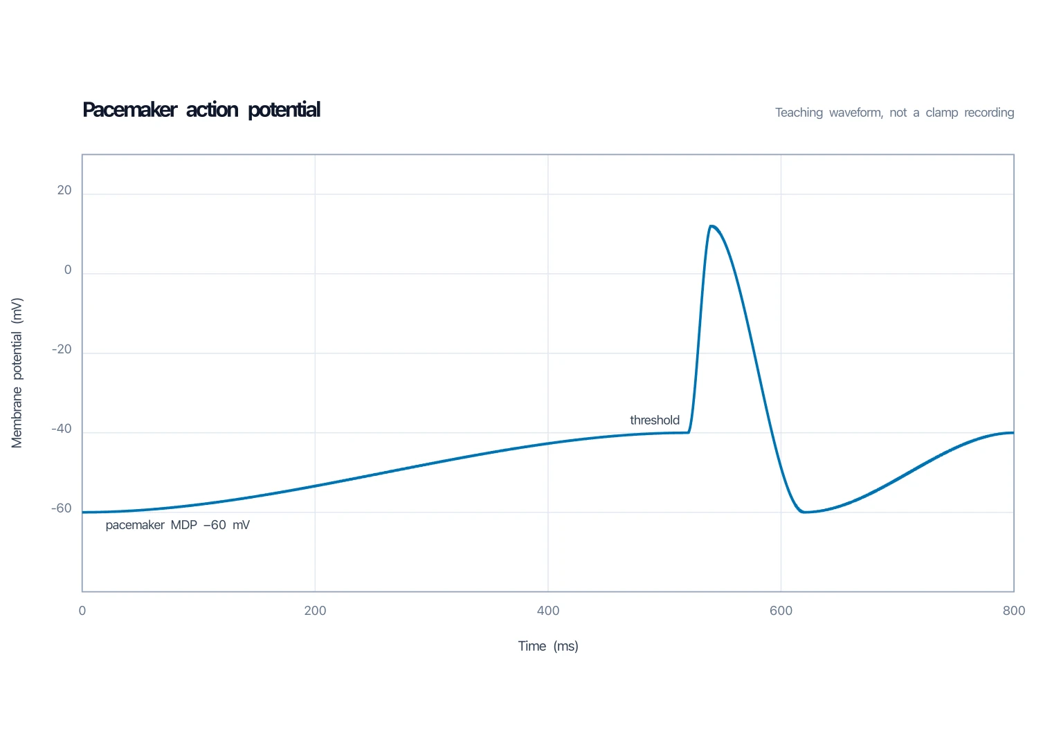 Pacemaker action potential graph with a slow rise from minus 60 millivolts and no stable resting flatline