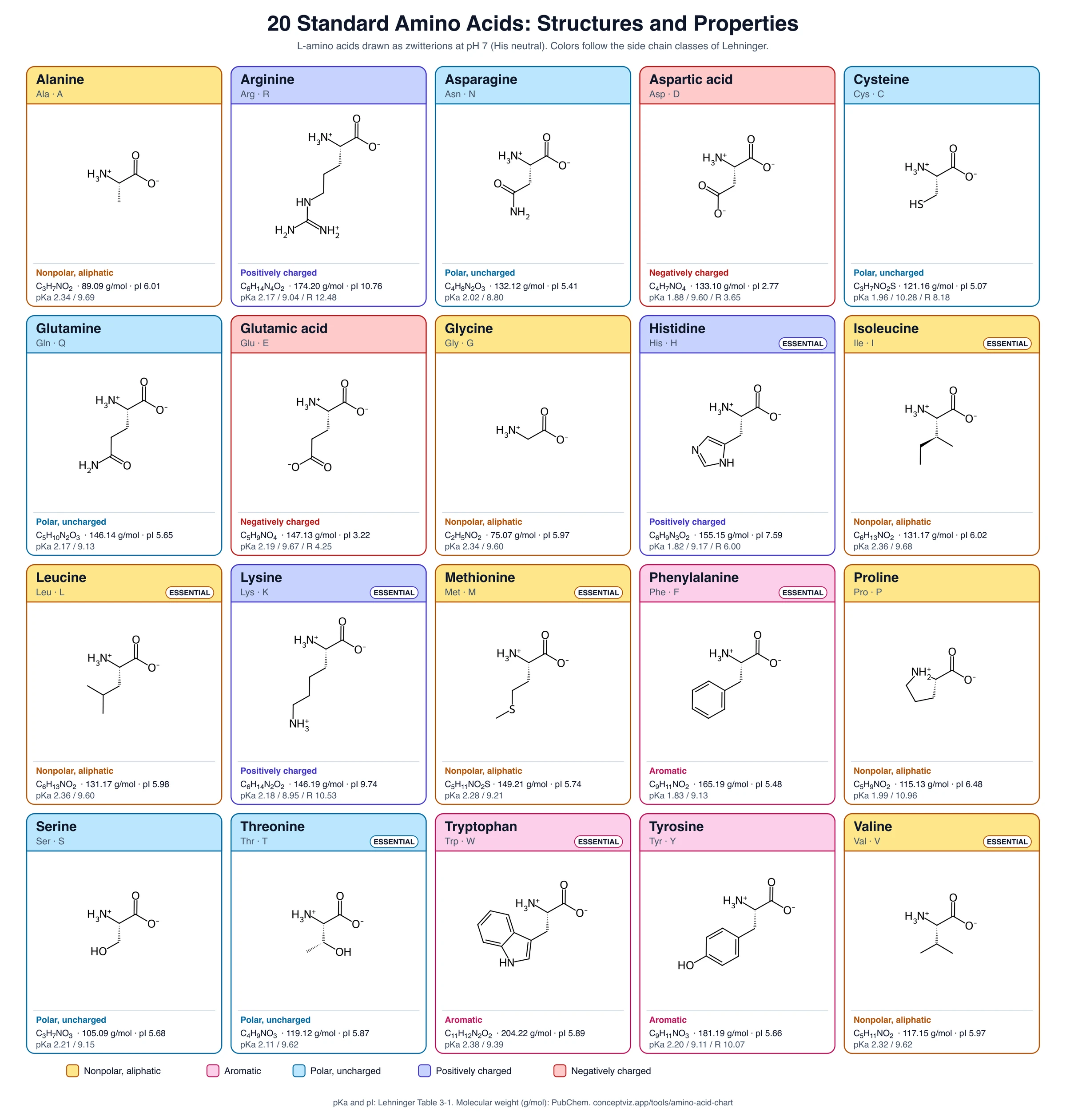 Amino Acid Chart