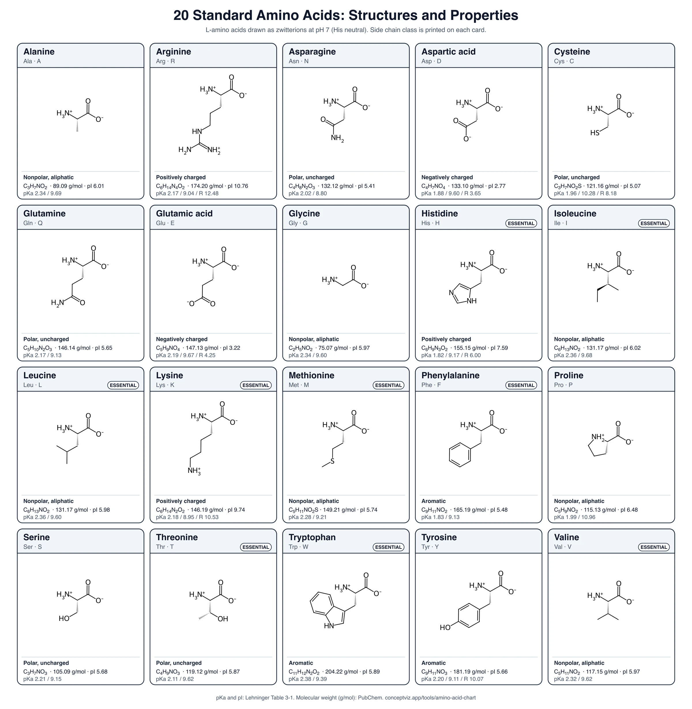 Black and white printable amino acid chart with the structure, name, class, molecular weight, pI and pKa values of the 20 standard amino acids