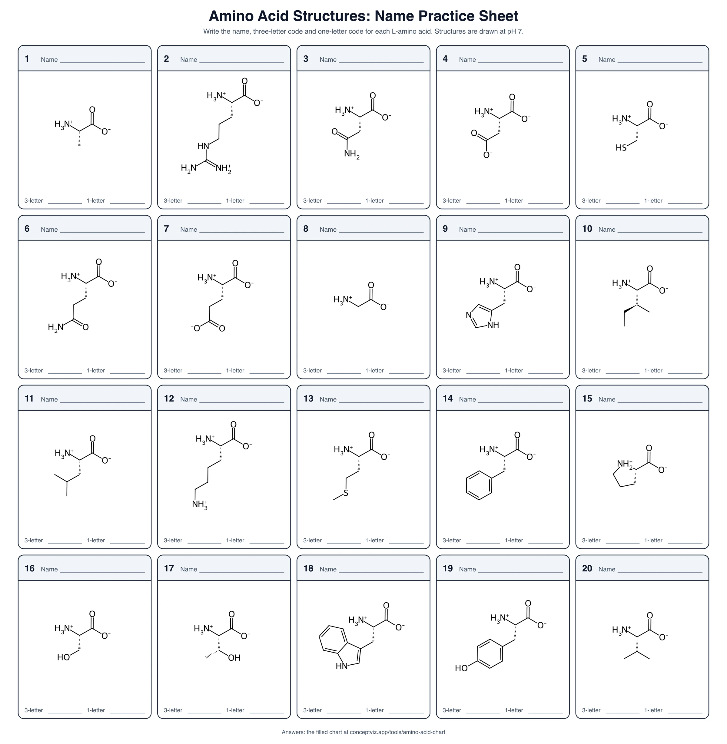 Blank amino acid practice sheet with 20 numbered structures and empty lines for the name, three-letter code and one-letter code