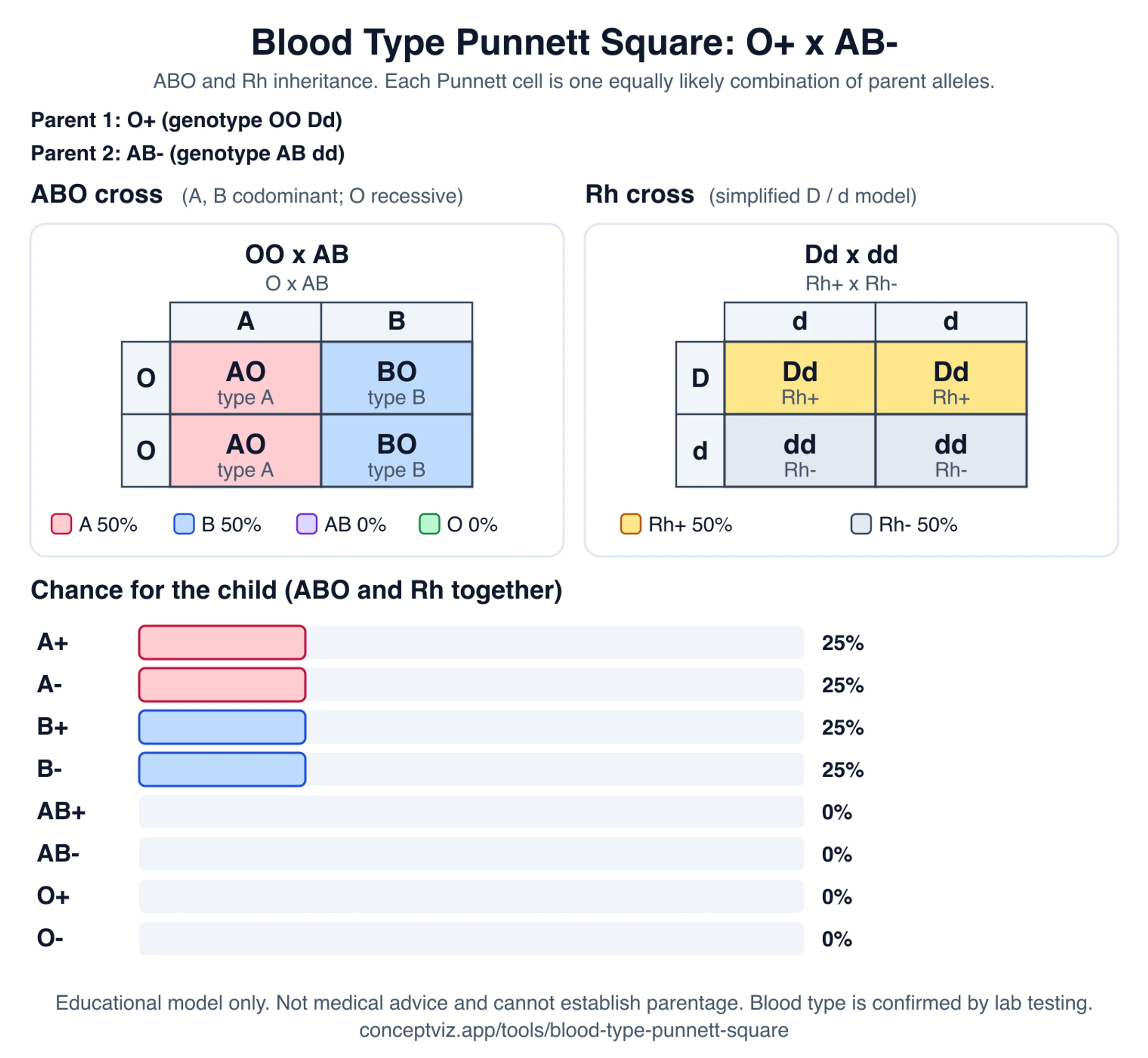 Blood type Punnett square for an O positive parent with genotype OO Dd and an AB negative parent with genotype AB dd, showing the ABO grid, the Rh grid and bars for each child blood type