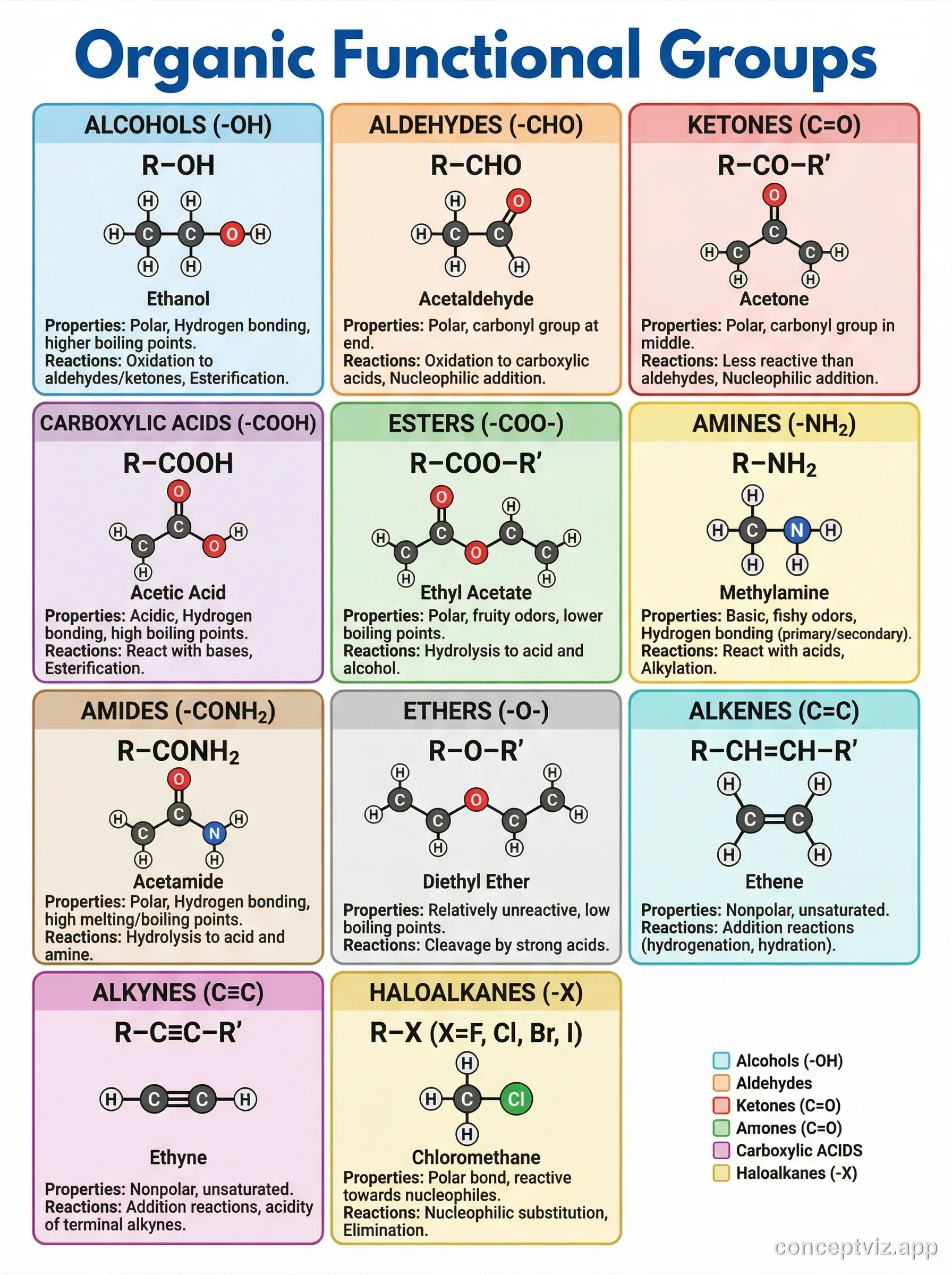 Poster showing common organic chemistry functional groups
