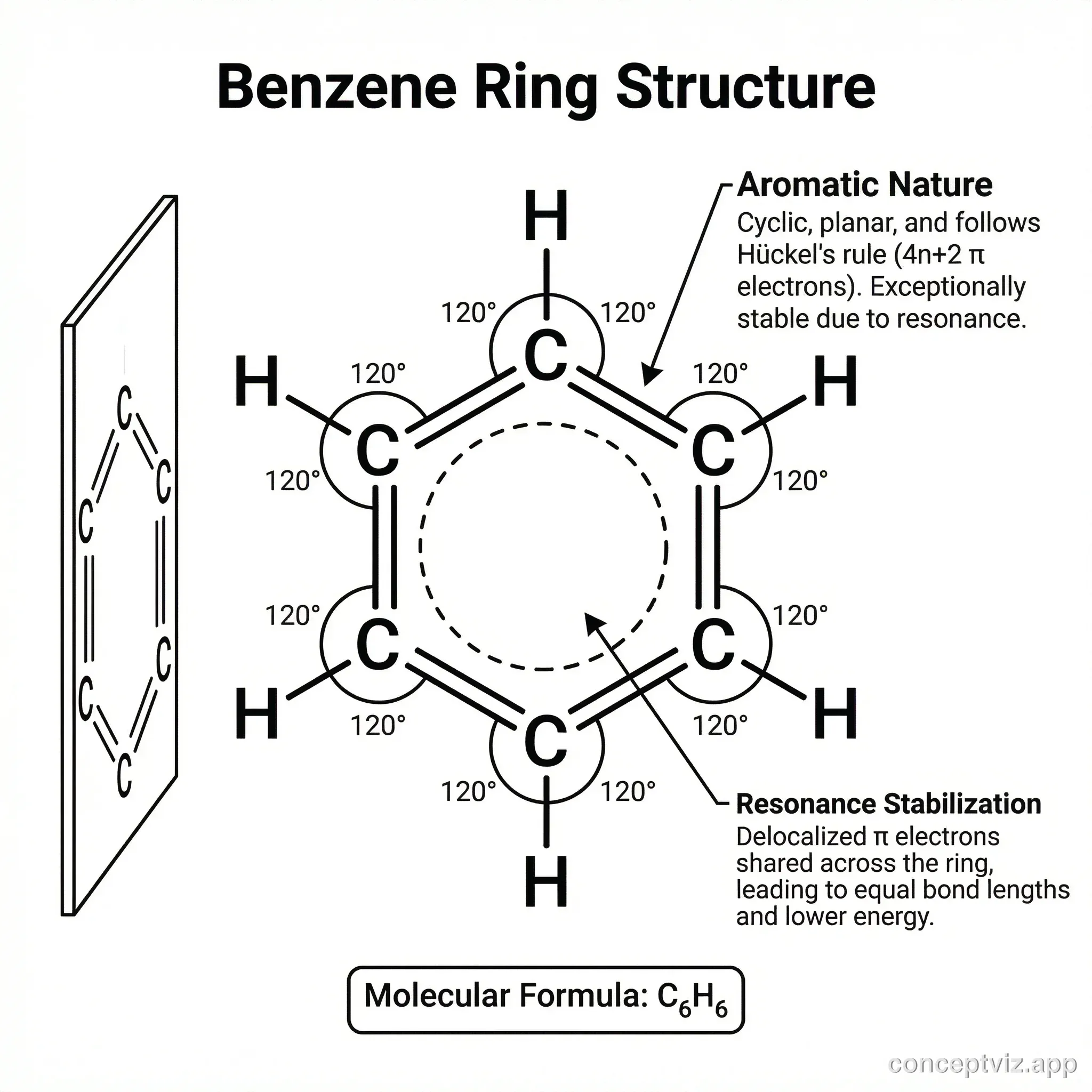 Professional benzene ring molecular structure diagram with labeled atoms