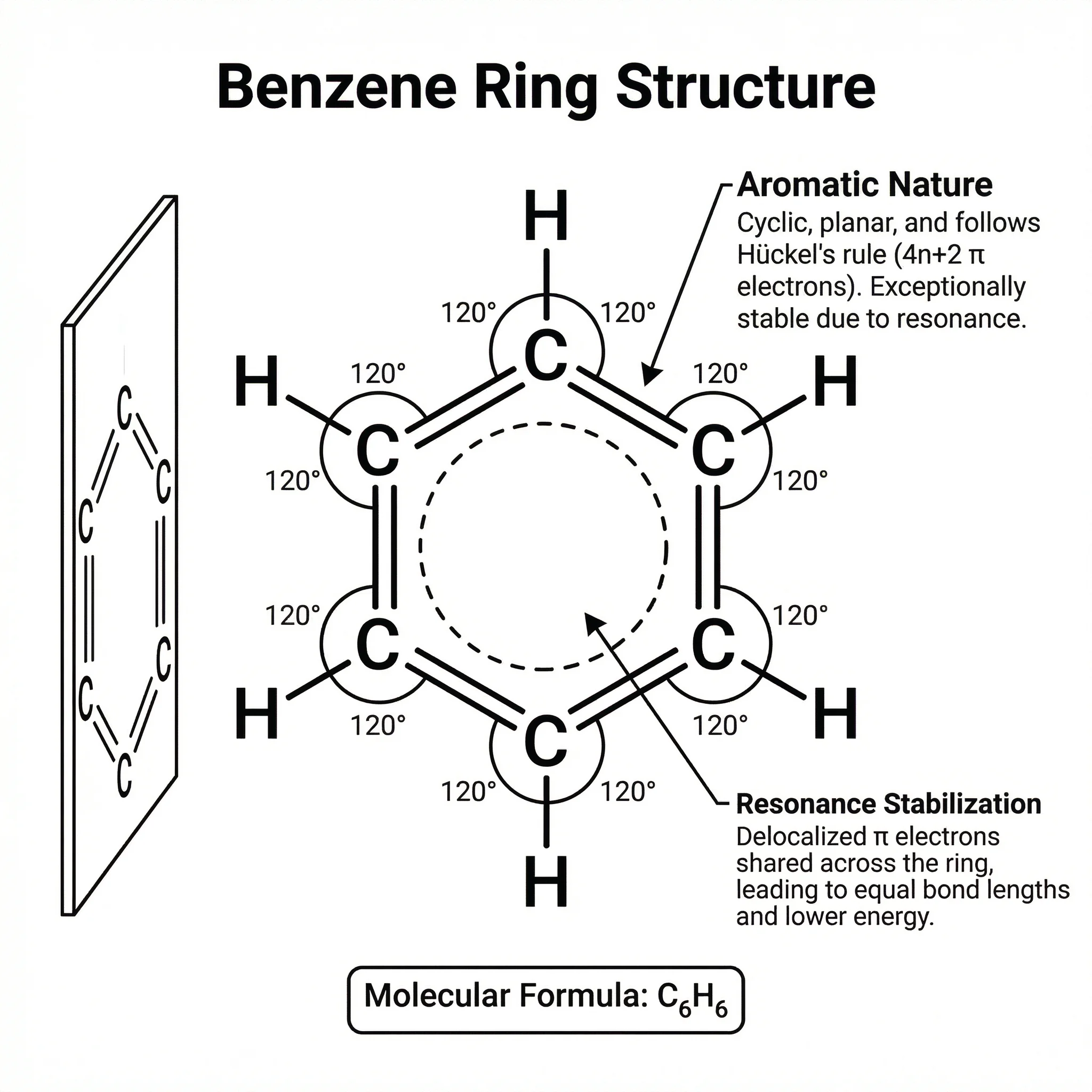 Professional benzene ring molecular structure diagram with labeled atoms