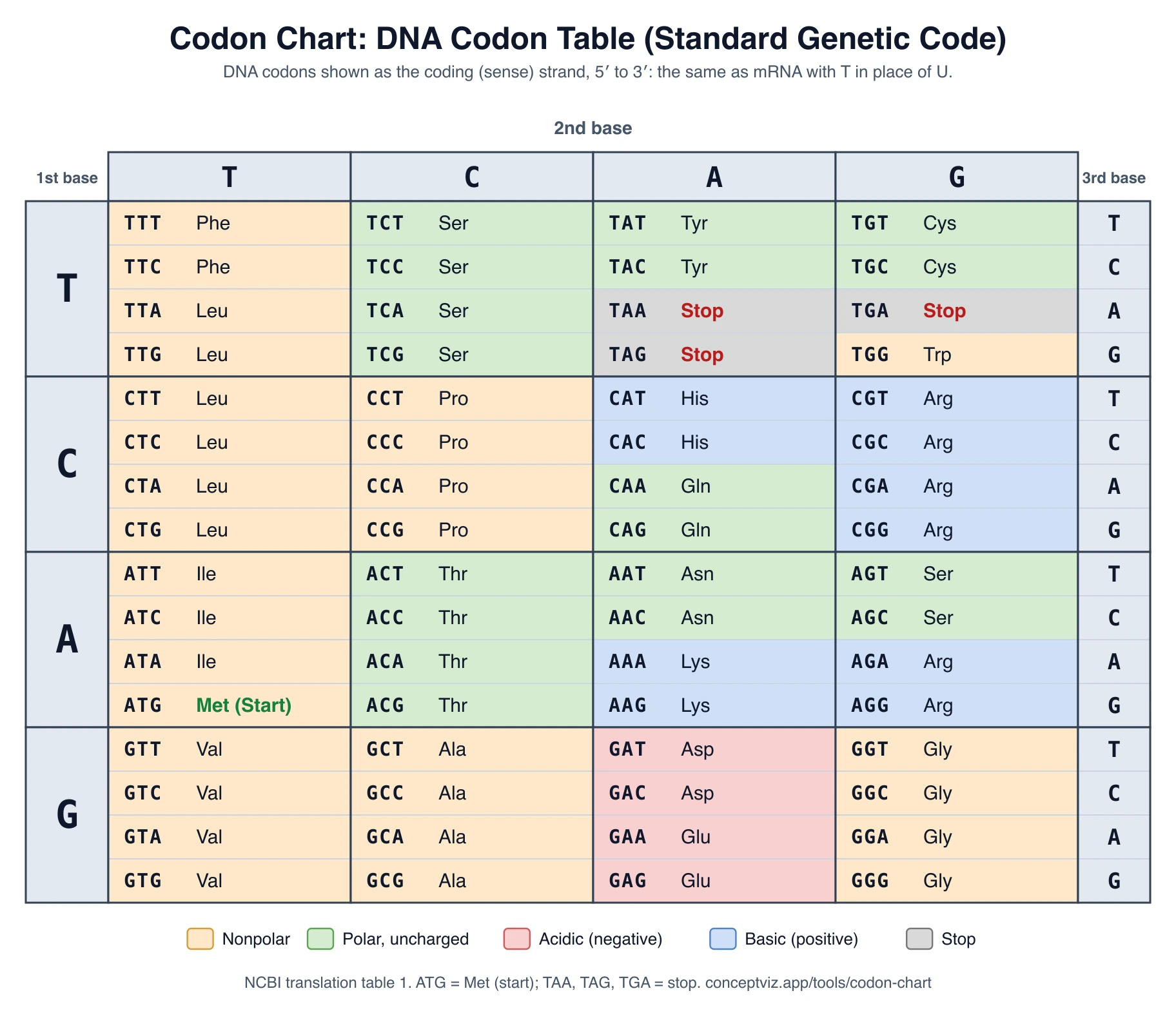 DNA codon table using T instead of U, with amino acids colored as nonpolar, polar, acidic, basic or stop