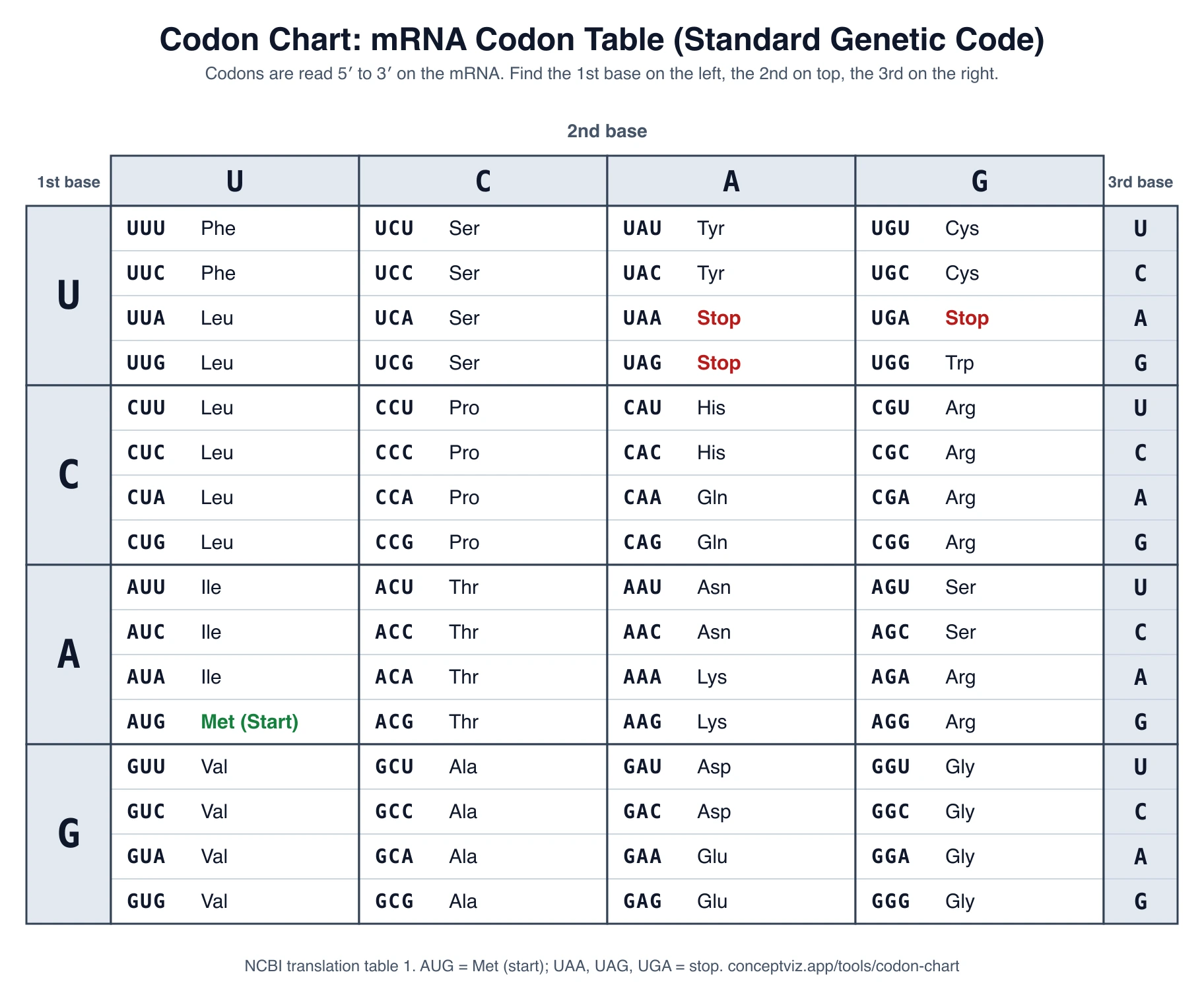 mRNA codon chart table of the standard genetic code with the first base on the left, second base on top and third base on the right, with three-letter amino acid names and the start and stop codons marked