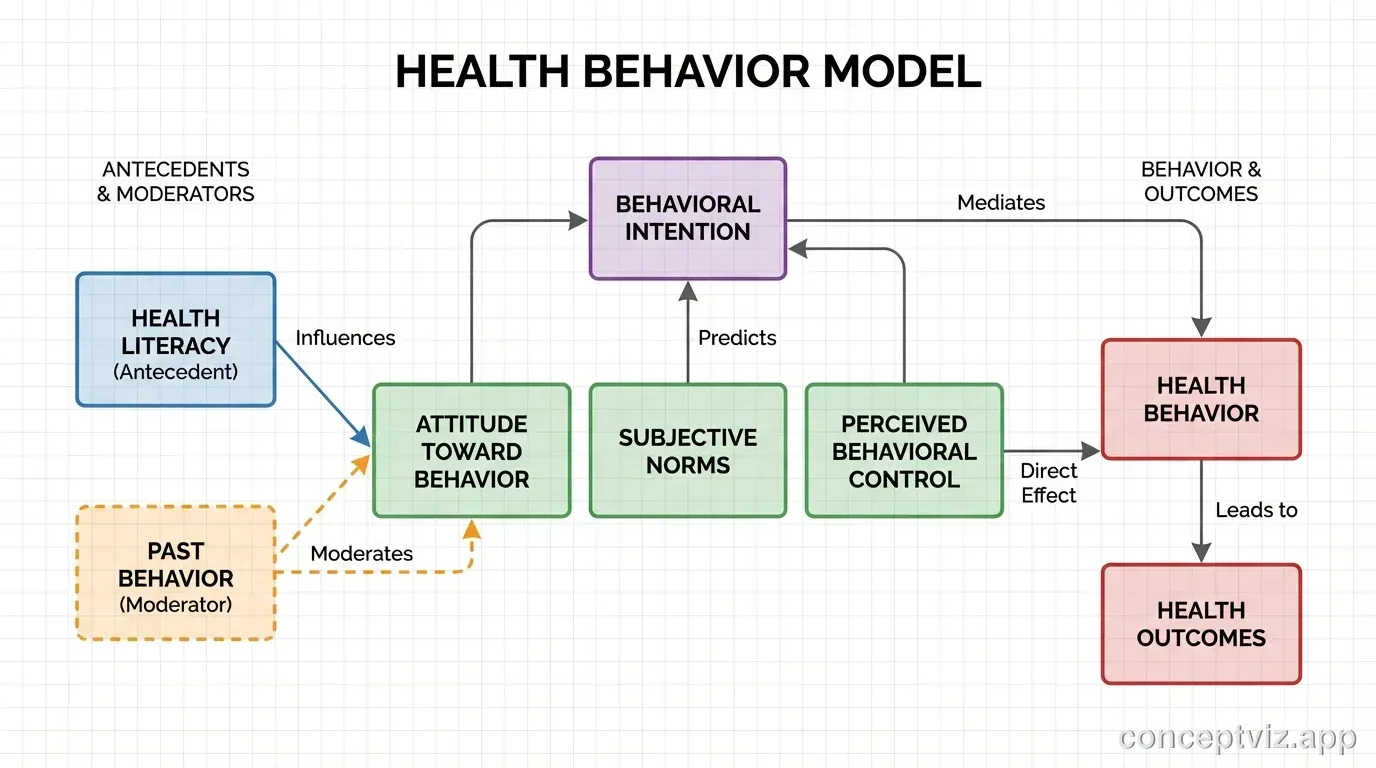 Health psychology framework based on TPB showing attitudes and norms affecting health intentions.