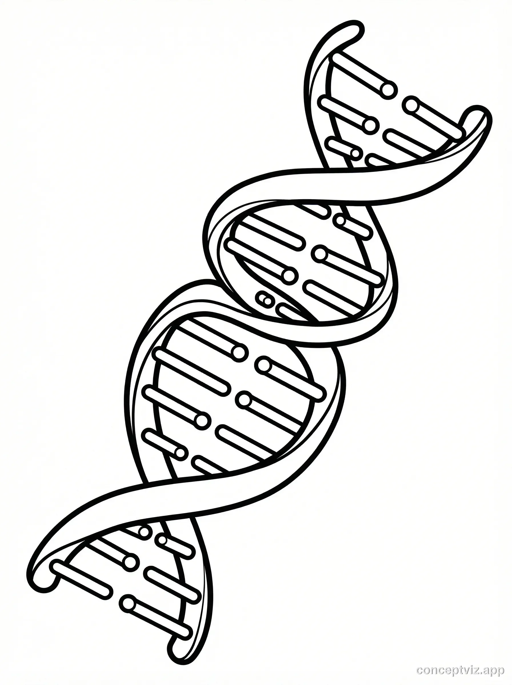 Black and white line art coloring page of DNA double helix structure showing the twisted ladder shape with clear sugar-phosphate backbone and rungs representing base pairs. Clean outlines suitable for coloring, educational coloring book style.