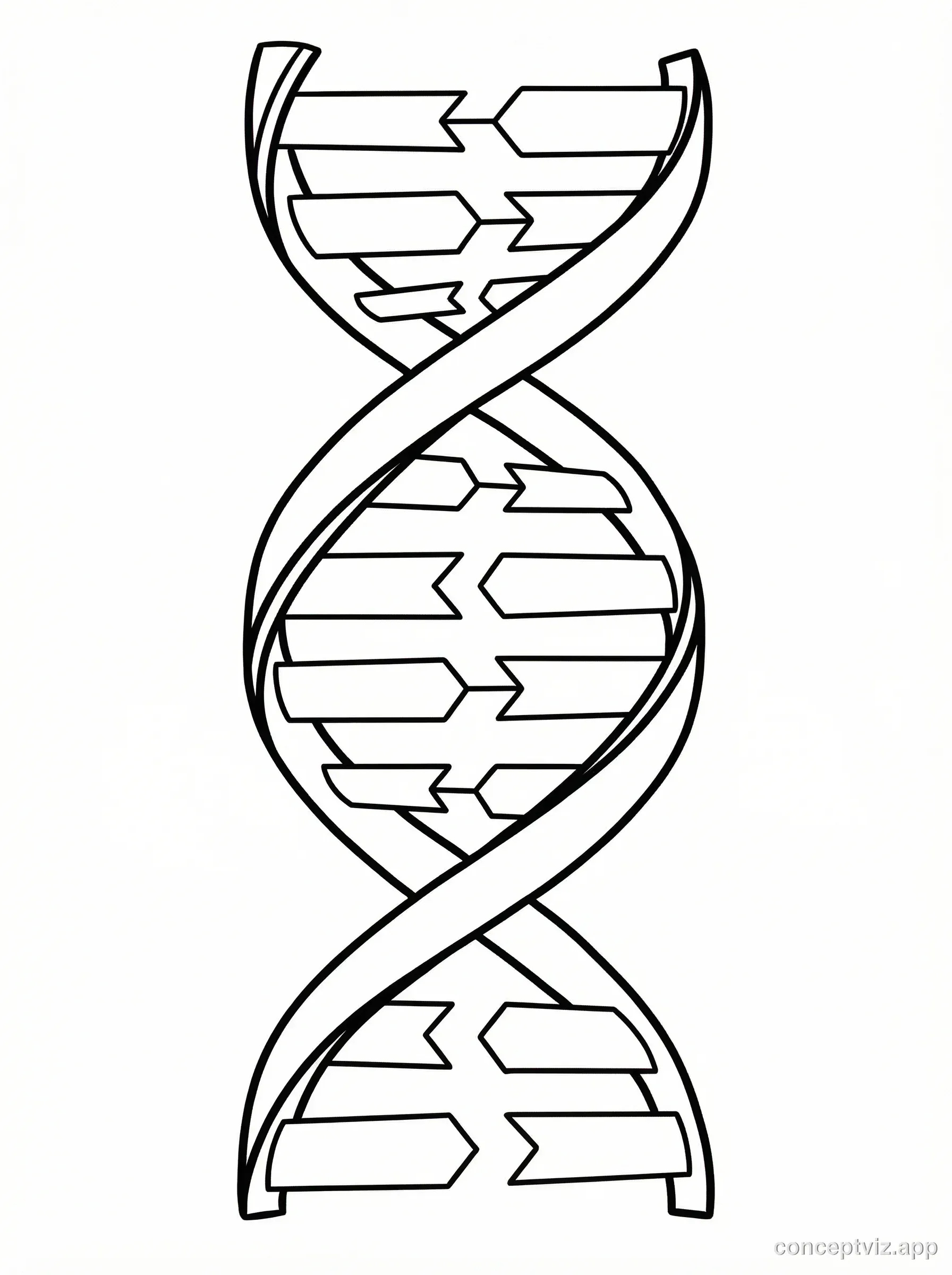 Black and white line art DNA structure diagram without any labels showing double helix with clearly distinct base pairs and backbone. Designed for students to label and color, biology worksheet style.