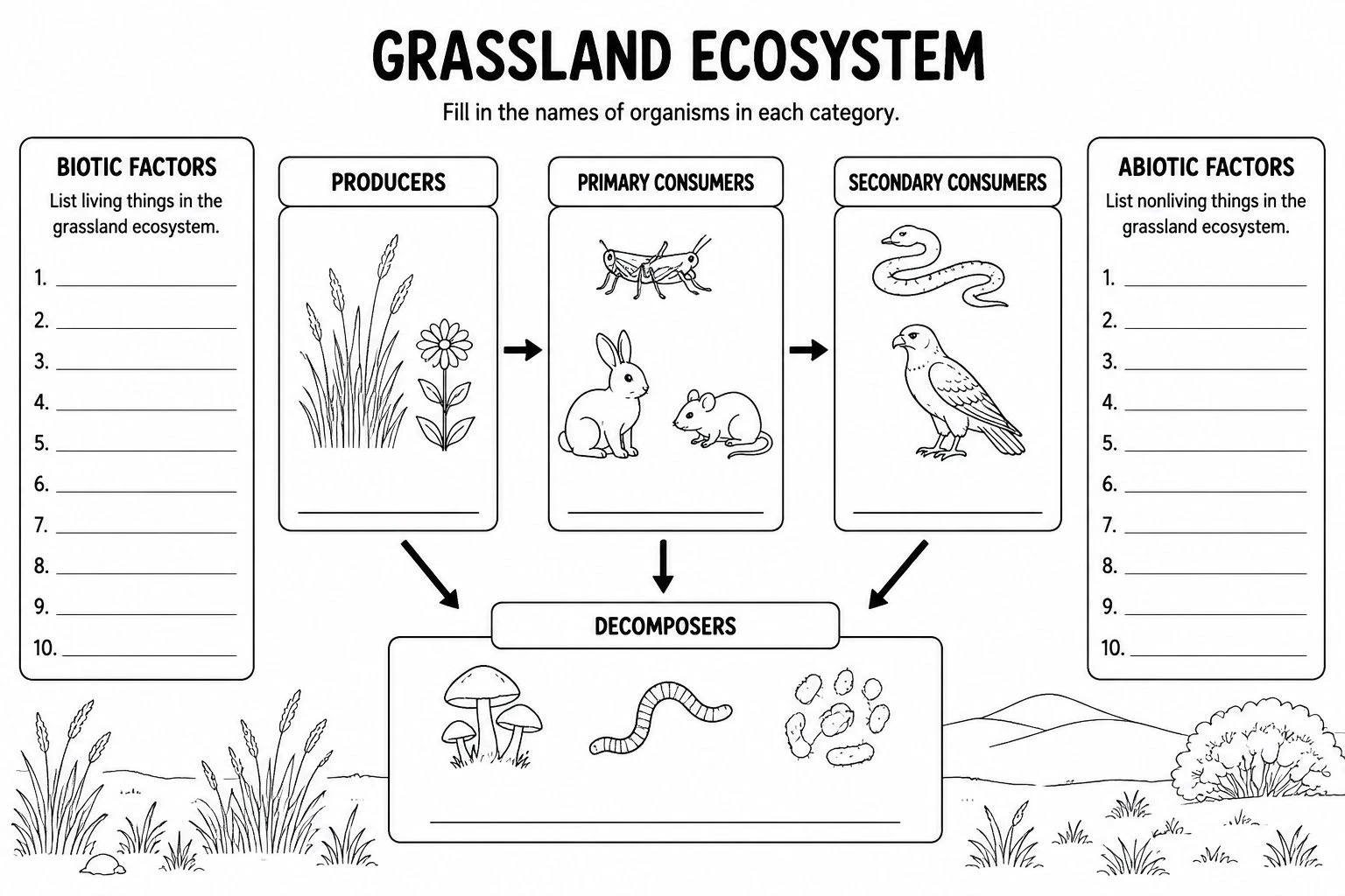Blank ecosystem worksheet with empty labeled outlines for producers, consumers, and decomposers in a grassland habitat, ready for students to complete