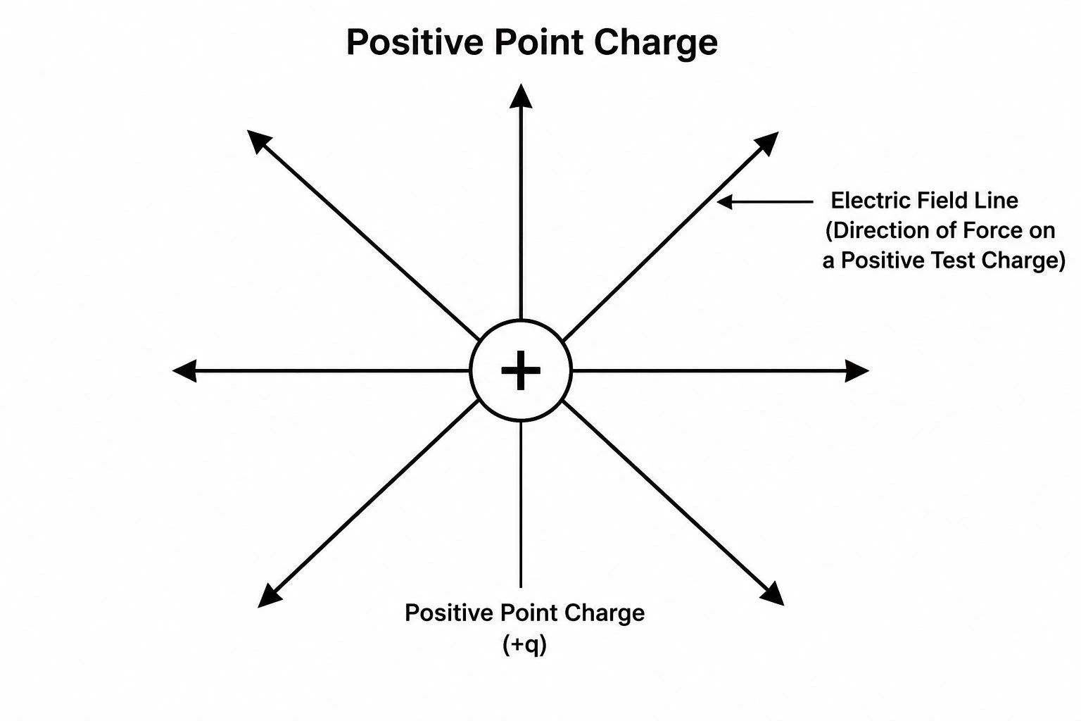 Electric field diagram of a single positive point charge with field lines radiating outward equally in all directions