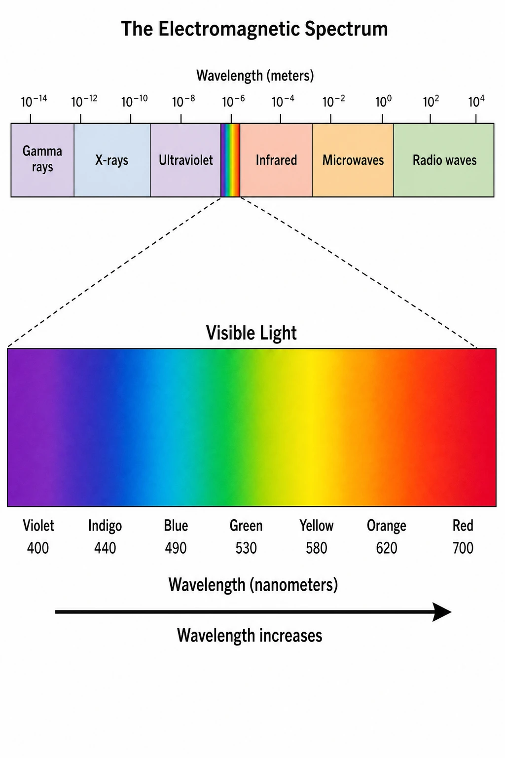 Electromagnetic spectrum with visible light enlarged showing red orange yellow green blue indigo violet