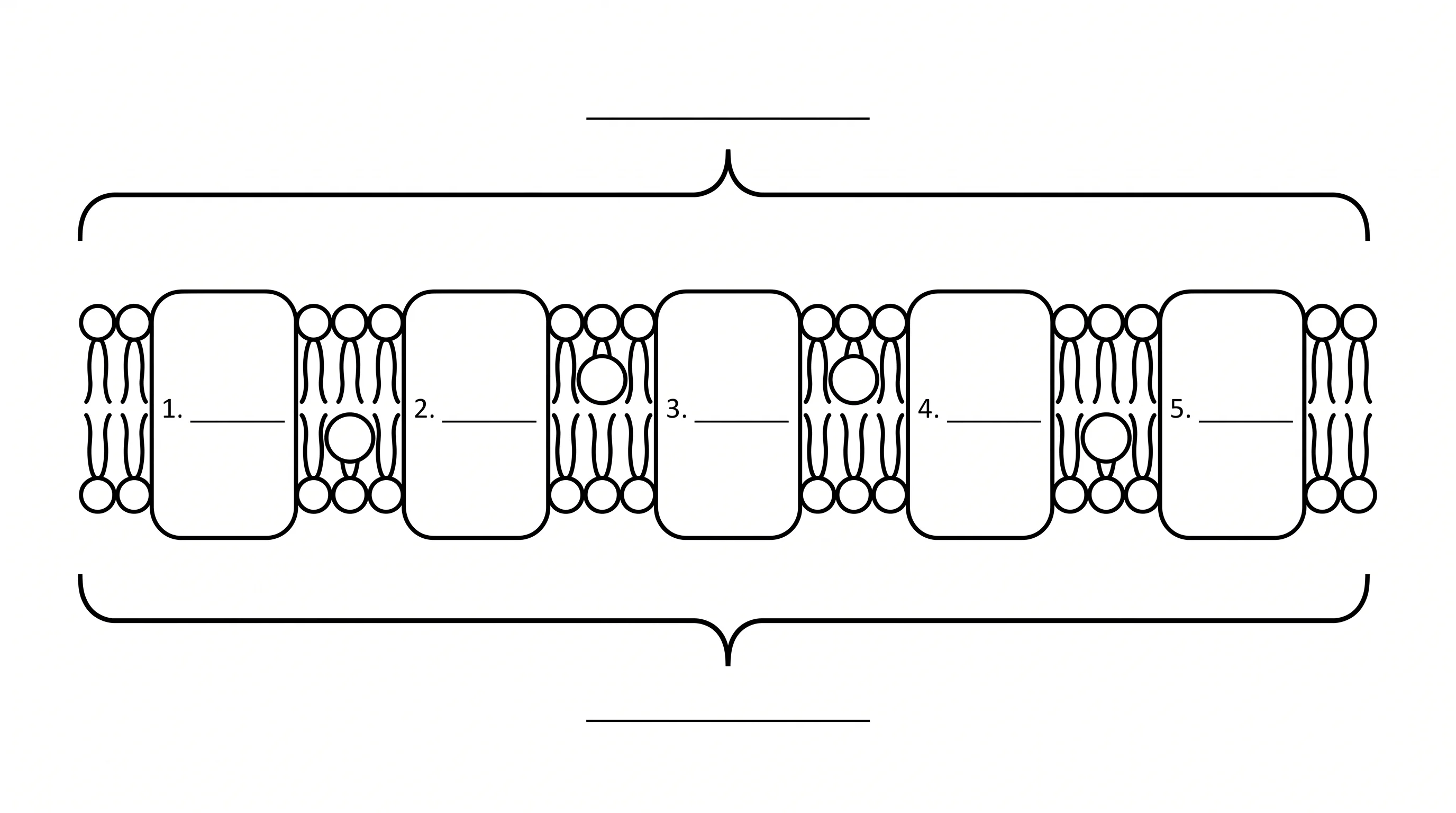 Blank electron transport chain worksheet with empty boxes for Complexes I–IV and ATP synthase