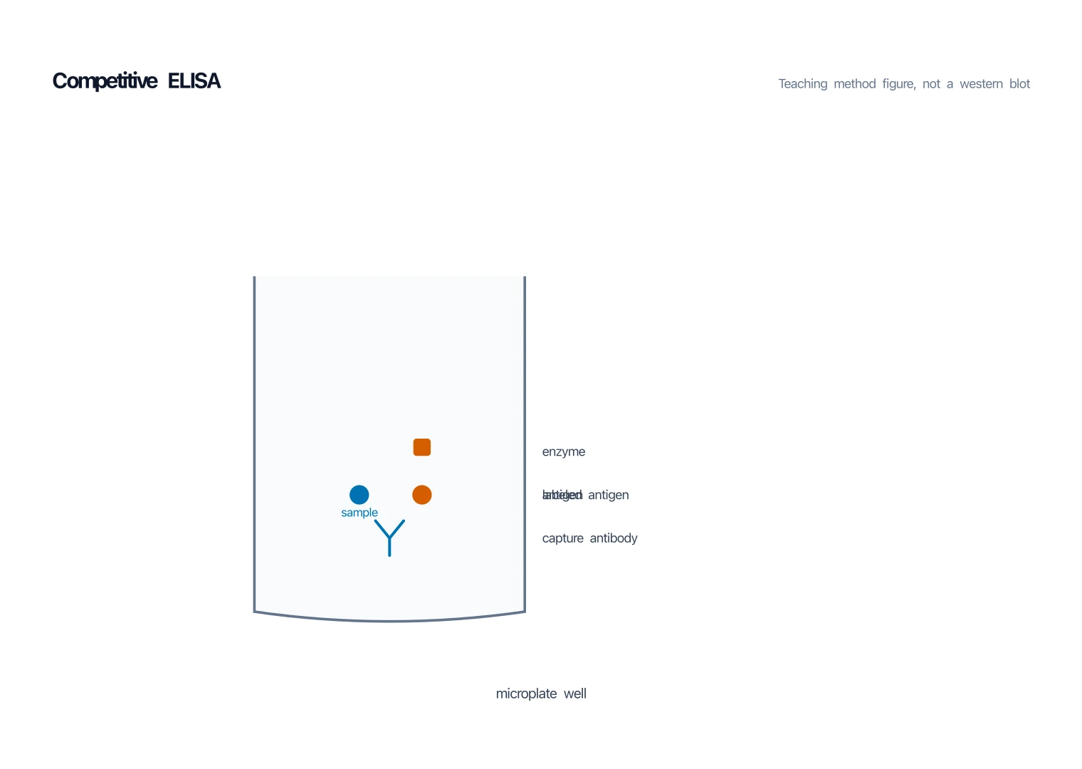 Competitive ELISA diagram where sample antigen and enzyme-labeled antigen compete for the same capture antibody