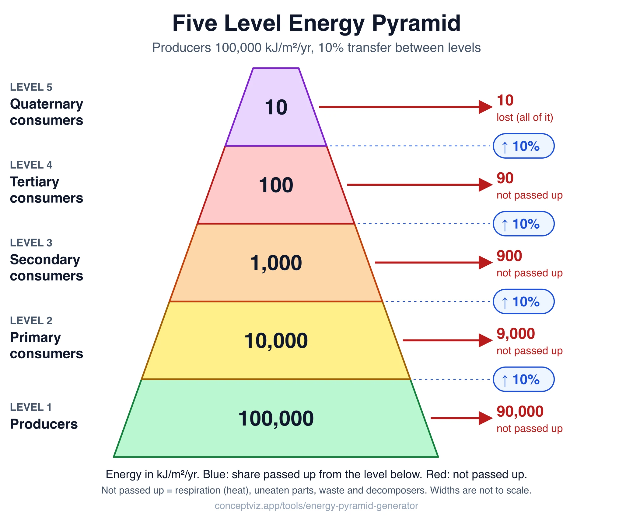 Five level energy pyramid in kilojoules per square meter per year: 100,000 for producers then 10,000, 1,000, 100 and 10 with 10 percent transfer