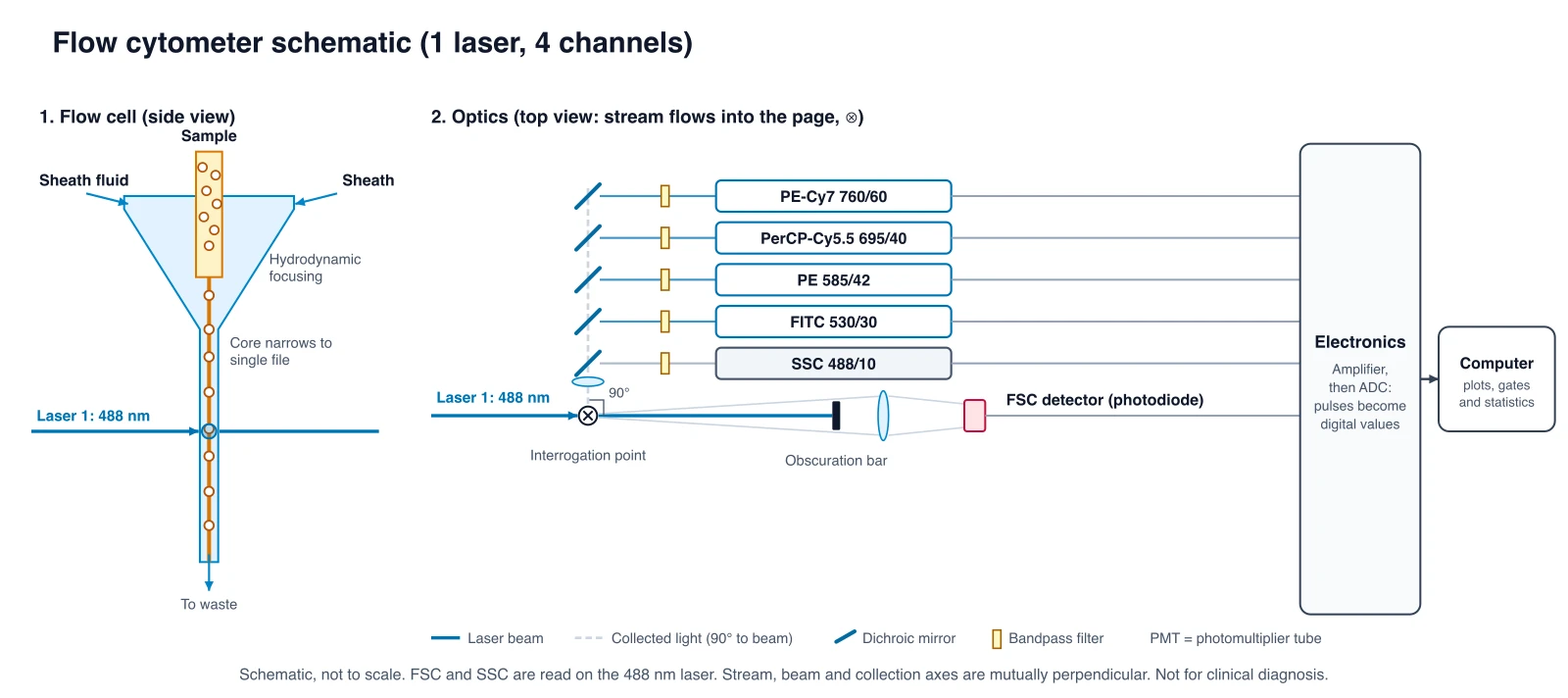 Flow cytometer diagram with sheath flow cell, 488 nm laser, FSC photodiode behind an obscuration bar, SSC and four fluorescence PMTs