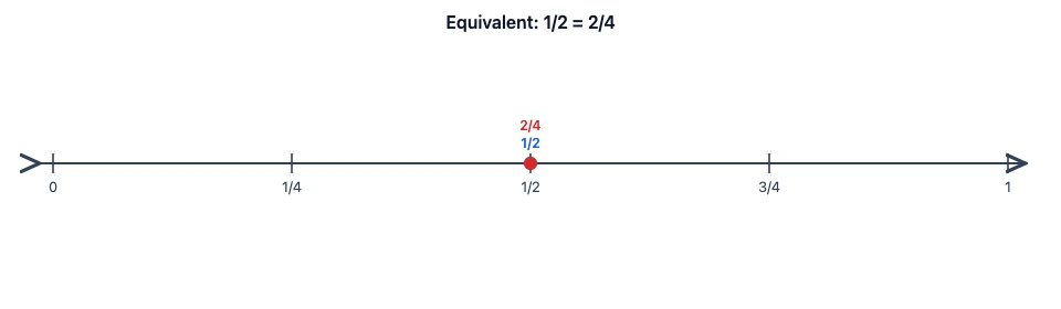 Fraction number line showing 1/2 and 2/4 labeled at the same position