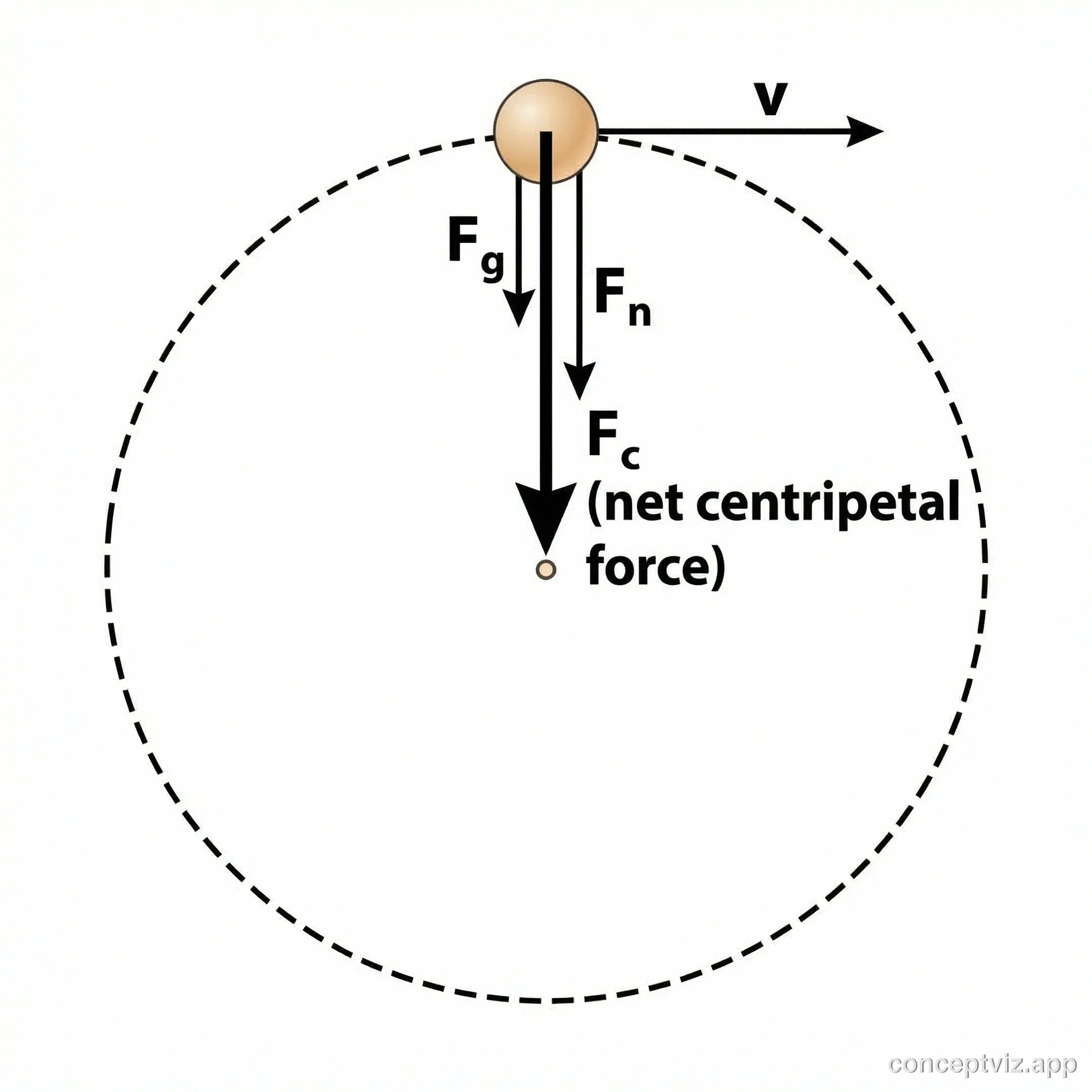 Free body diagram of an object in circular motion showing centripetal force, weight, and normal force vectors.
