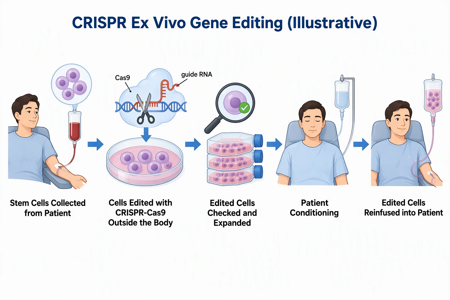 AI-generated CRISPR ex vivo gene editing diagram: stem cells collected, edited outside the body, checked and expanded, conditioning, reinfused