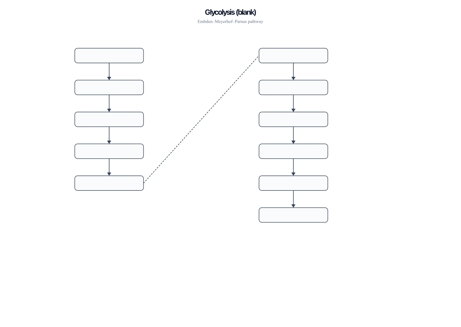 Blank glycolysis pathway worksheet with empty boxes for students to label intermediates and enzymes