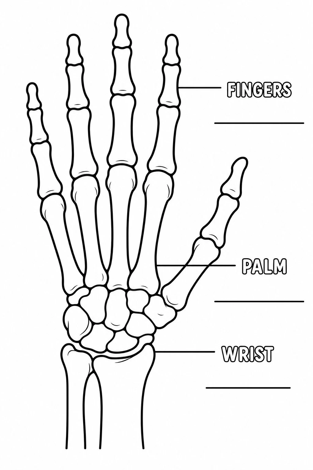 Black-and-white hand skeleton coloring page with blank label lines