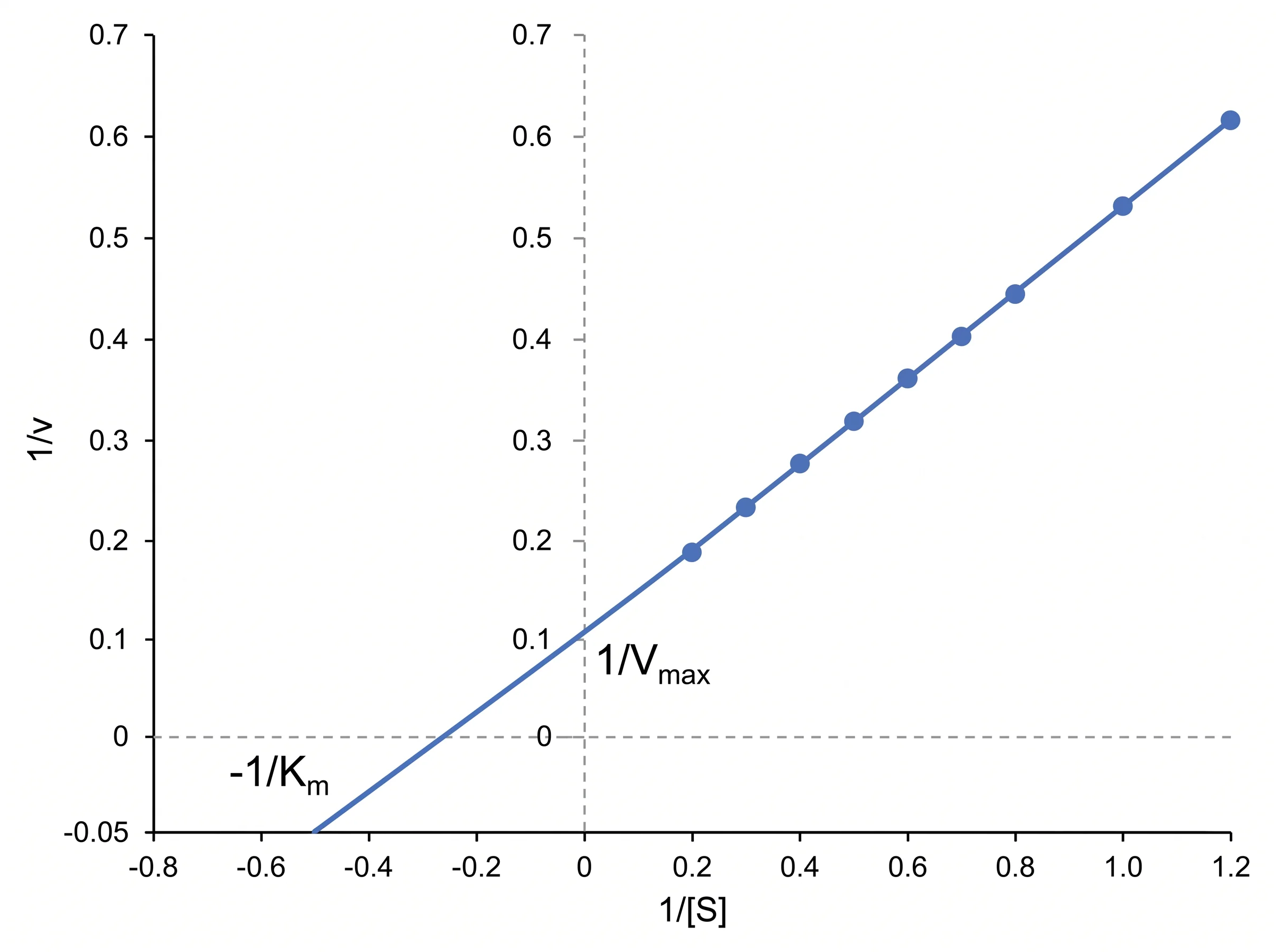 AI-generated Lineweaver–Burk plot illustration with a straight reciprocal line and labeled intercepts