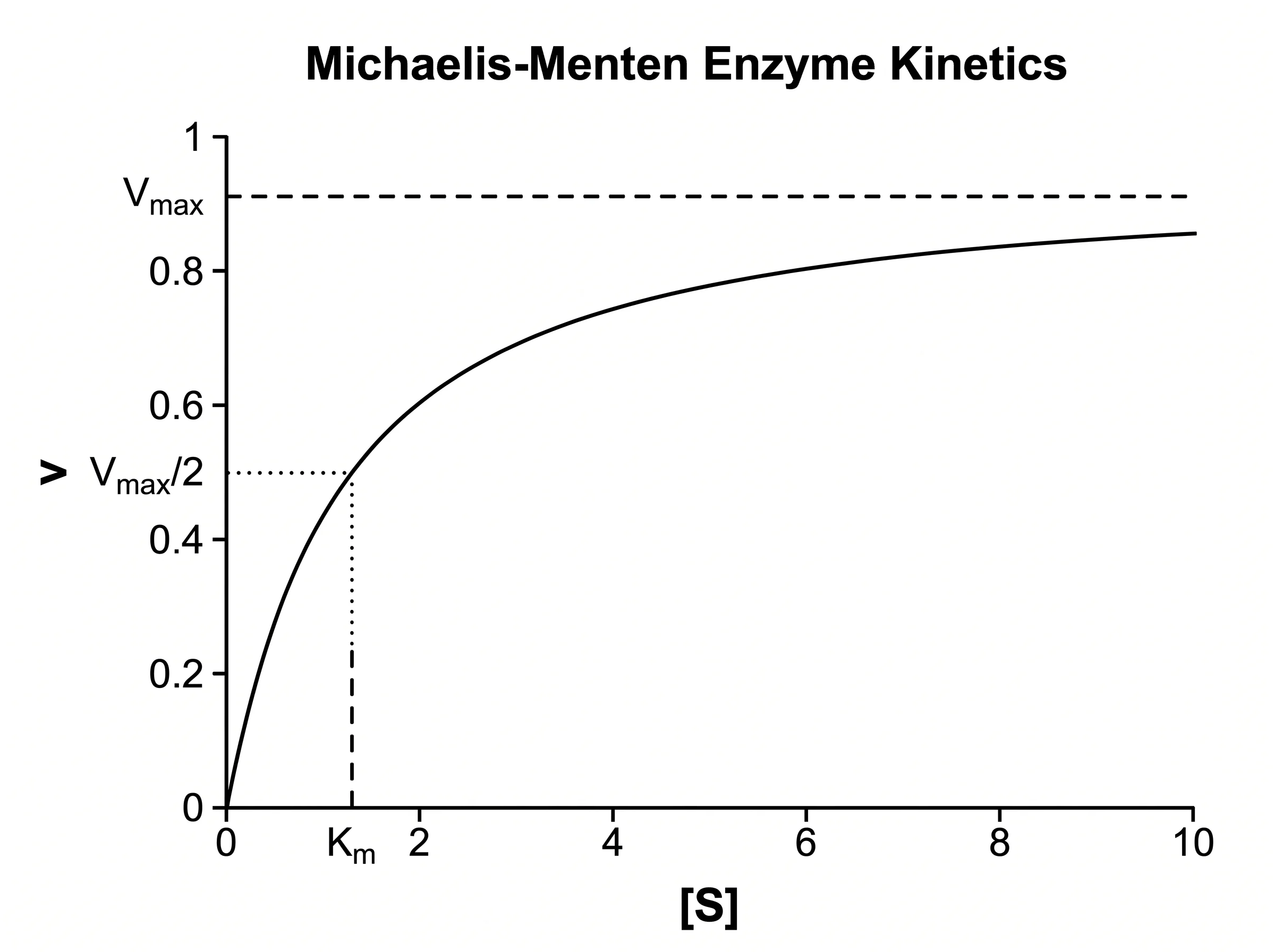 AI-generated Michaelis–Menten plot illustration with a hyperbola, Km, and Vmax marked