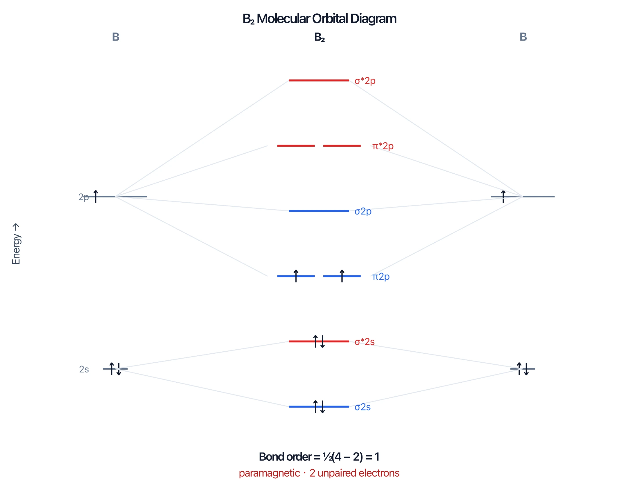 B2 molecular orbital diagram with two unpaired electrons in the pi 2p bonding orbitals