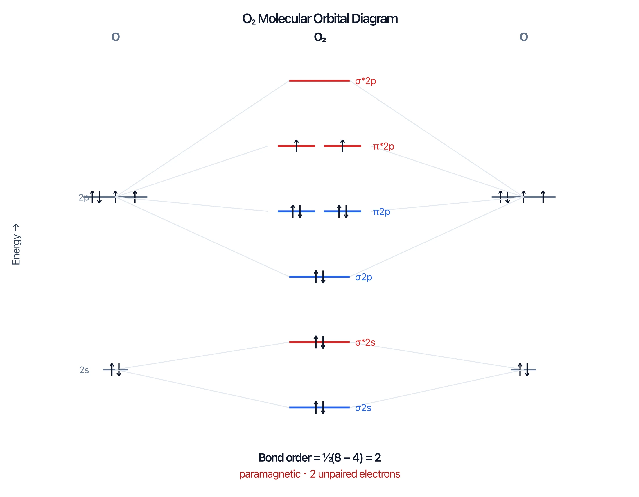 O2 molecular orbital diagram with two unpaired electrons in the pi antibonding orbitals, bond order 2