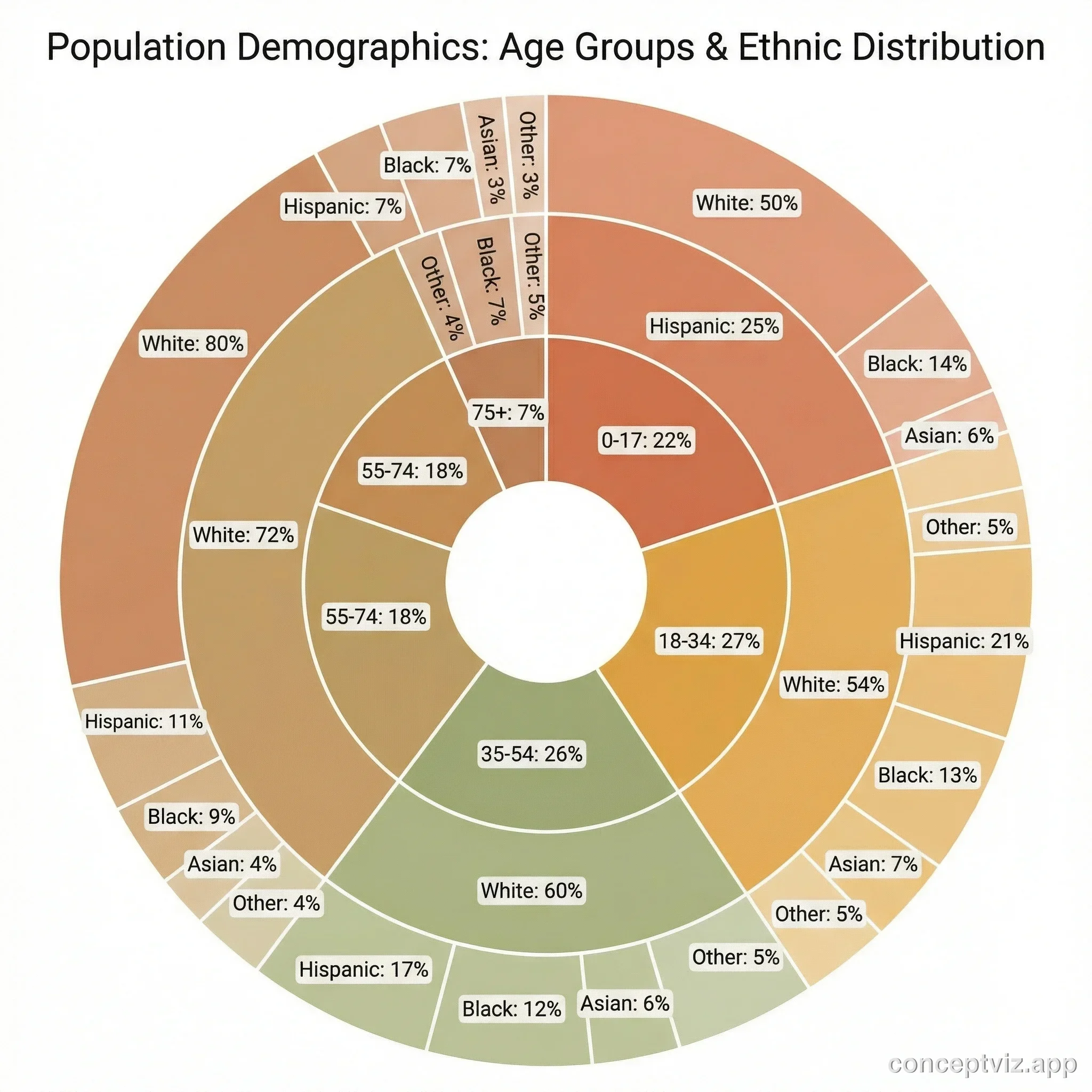 Concentric ring chart showing population demographics by age group in the inner ring and ethnicity distribution in the outer ring.