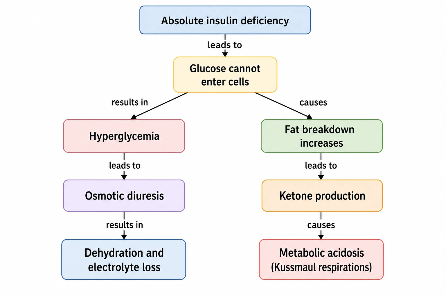 AI-generated pathophysiology concept map of diabetic ketoacidosis from insulin deficiency to dehydration and metabolic acidosis