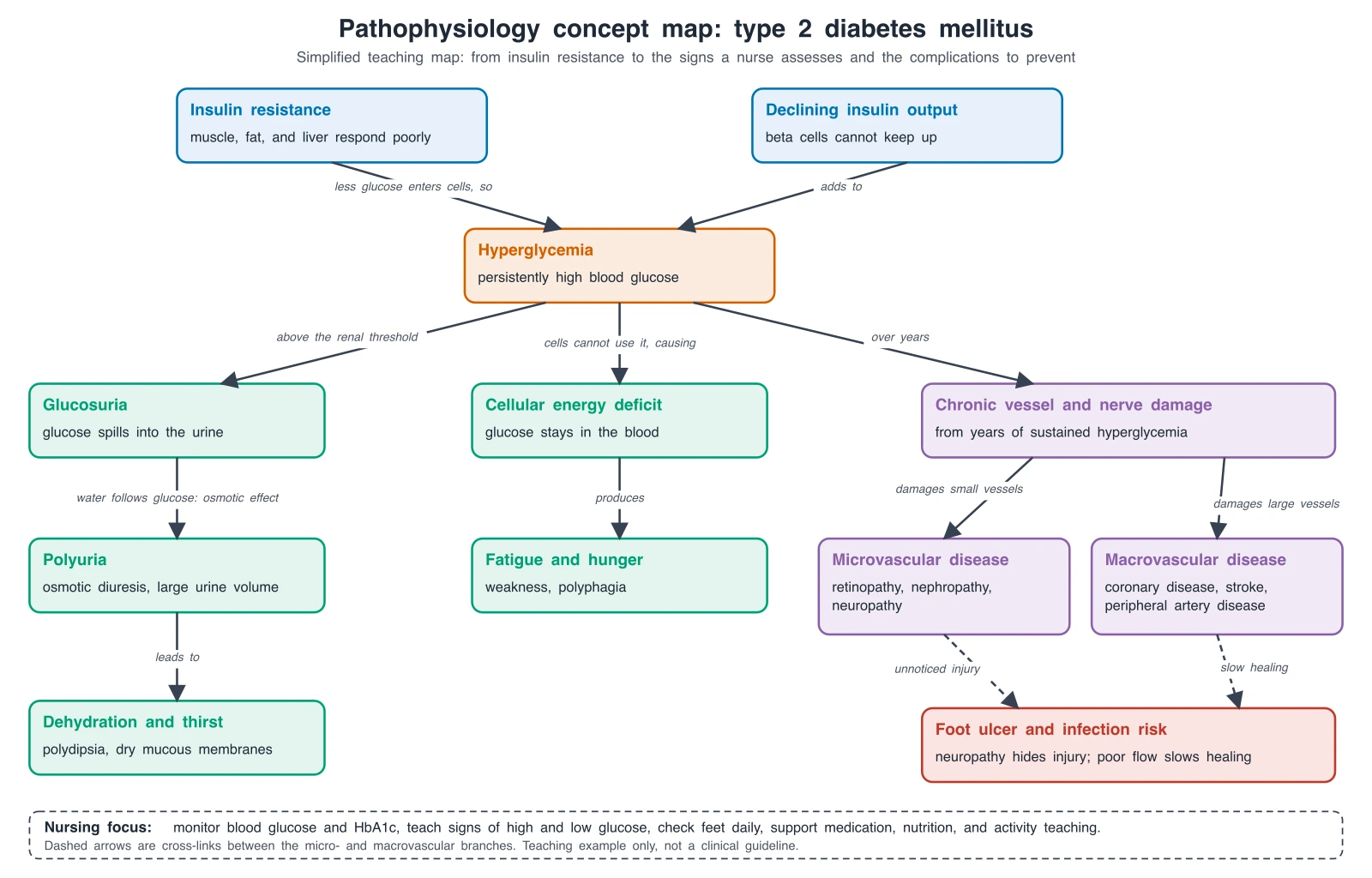 Exact pathophysiology concept map of type 2 diabetes from insulin resistance and declining insulin output to hyperglycemia, glucosuria, polyuria, dehydration, fatigue, and micro- and macrovascular complications