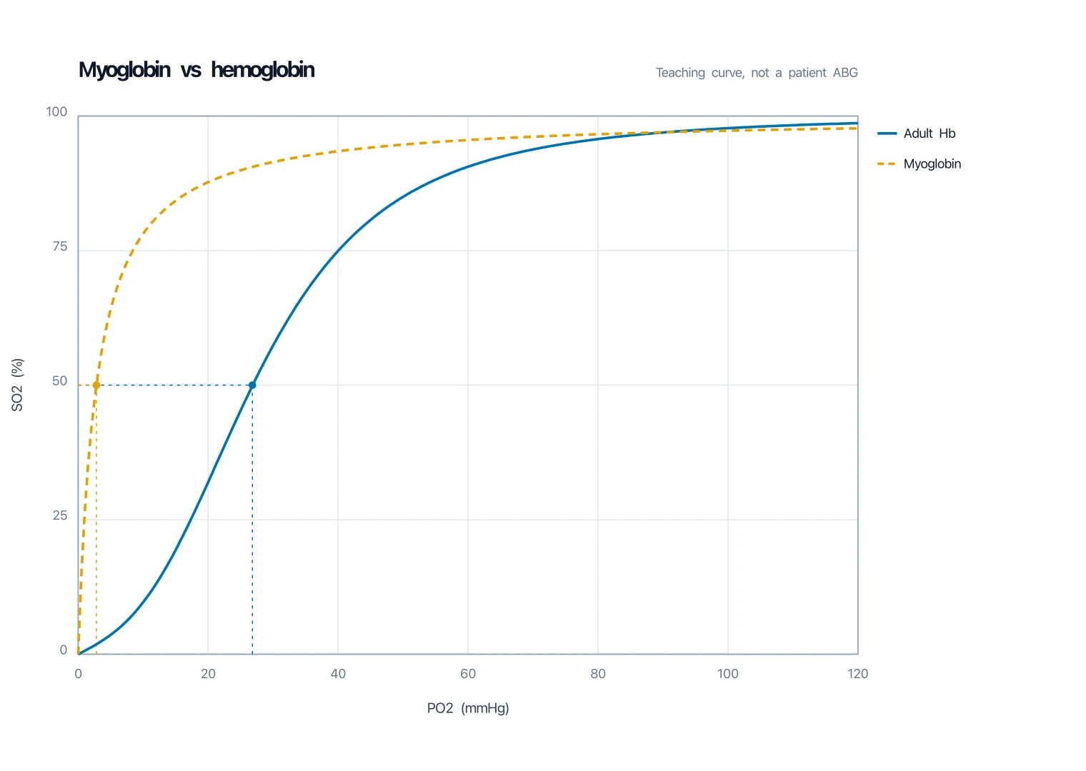 Myoglobin rectangular hyperbola overlaid on the sigmoid adult hemoglobin oxygen-dissociation curve