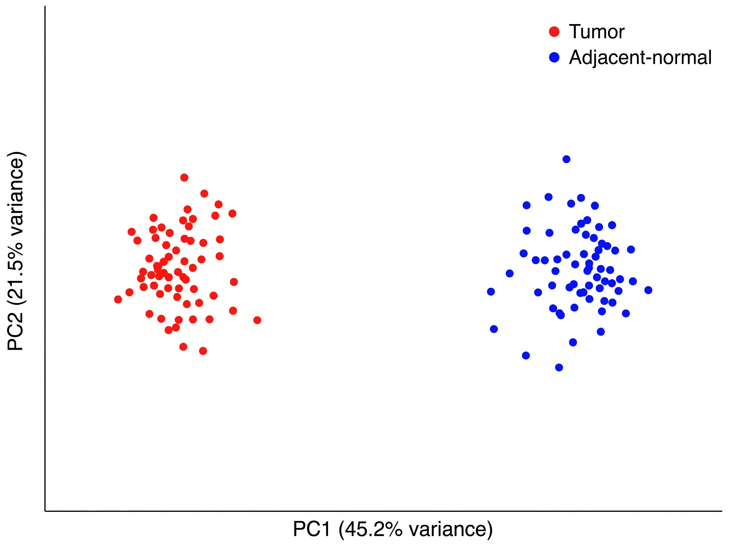 AI-generated tumor versus normal PCA illustration