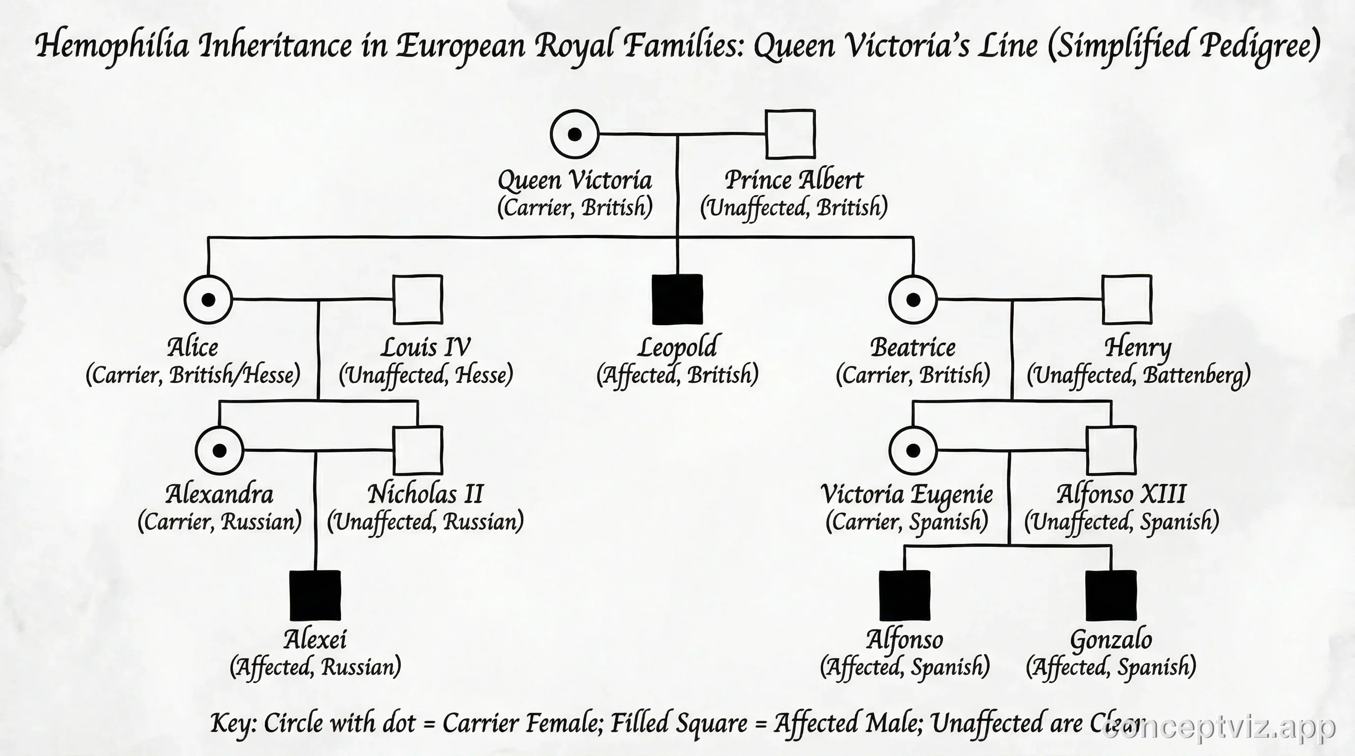 Historical pedigree chart tracing hemophilia through European royal families from Queen Victoria.