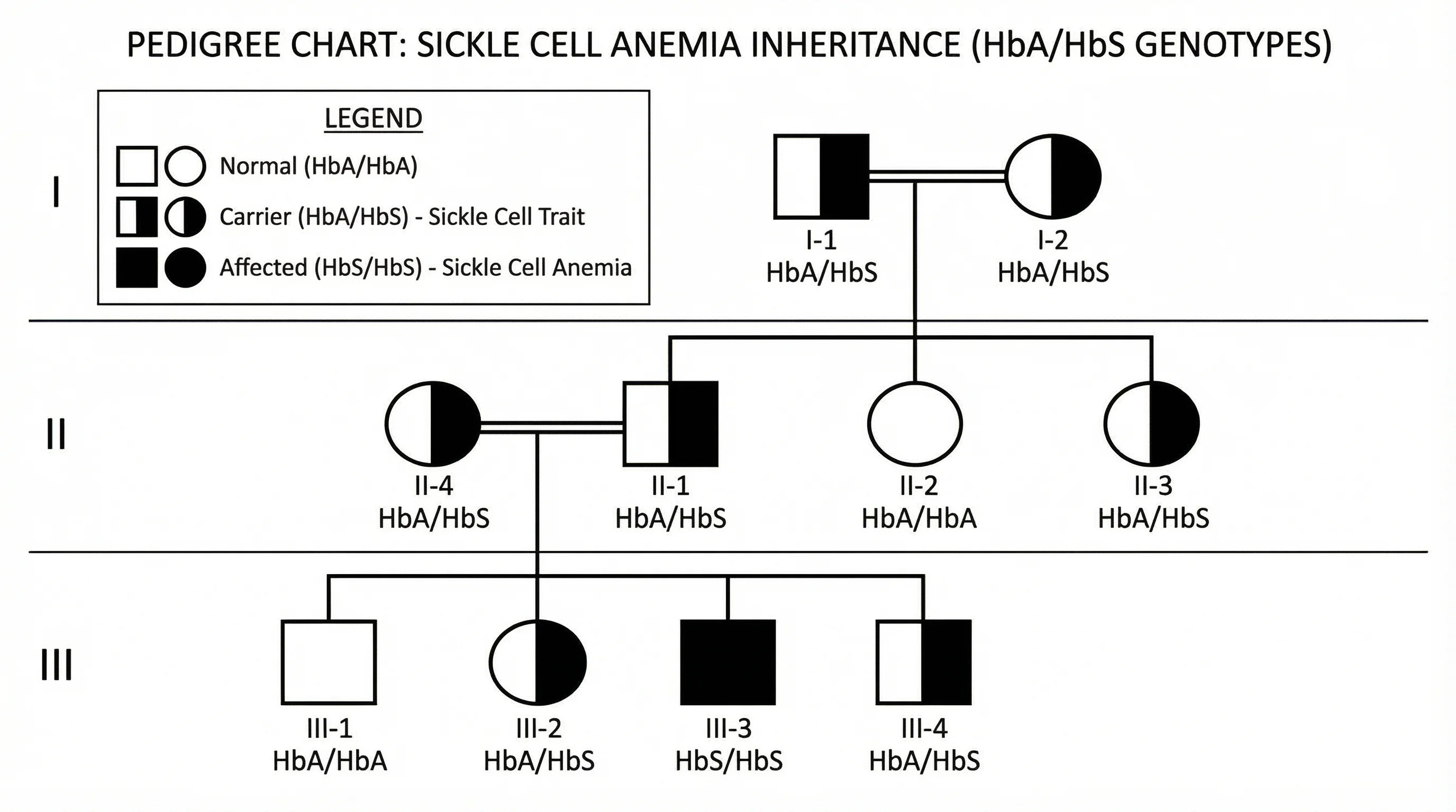 Punnett square showing sickle cell trait inheritance between two carriers.