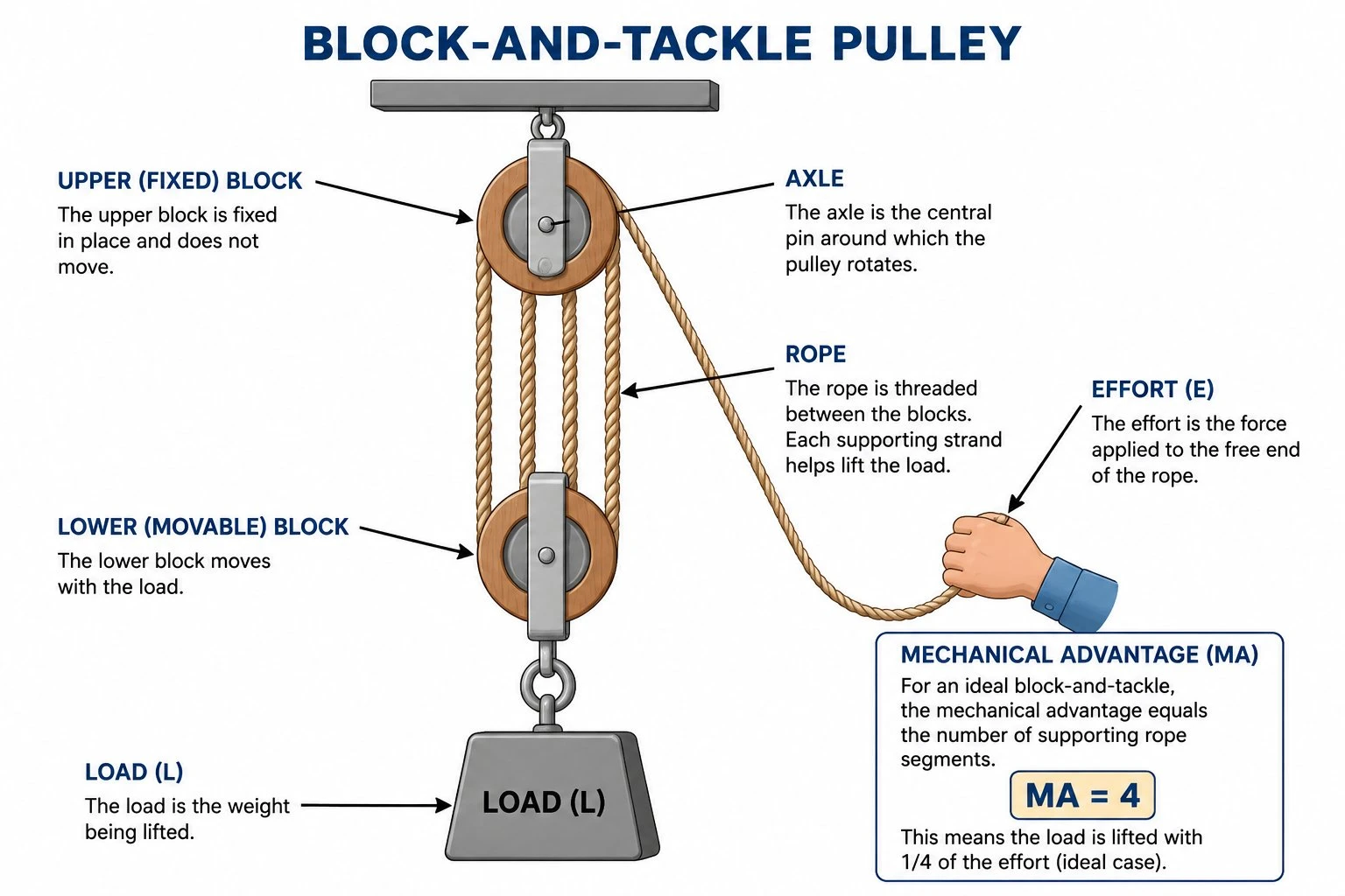 Block-and-tackle pulley diagram showing an upper fixed block and a lower movable block, multiple rope segments, and labeled effort, load, axle, and rope