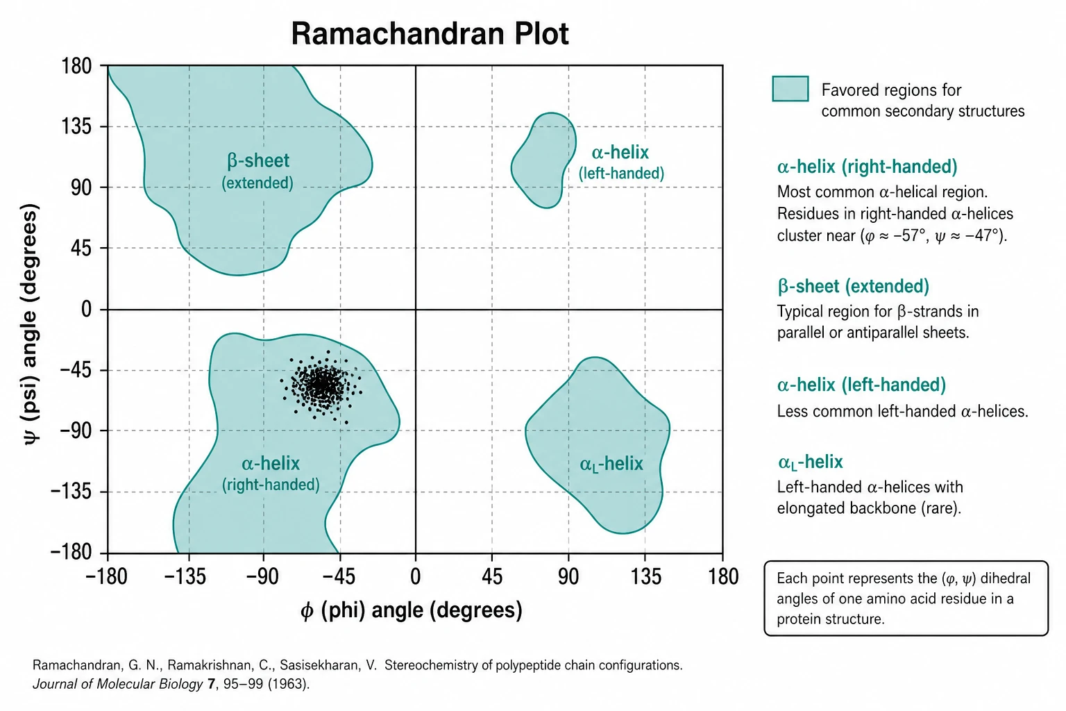 AI-generated teaching Ramachandran plot with alpha and beta regions labeled