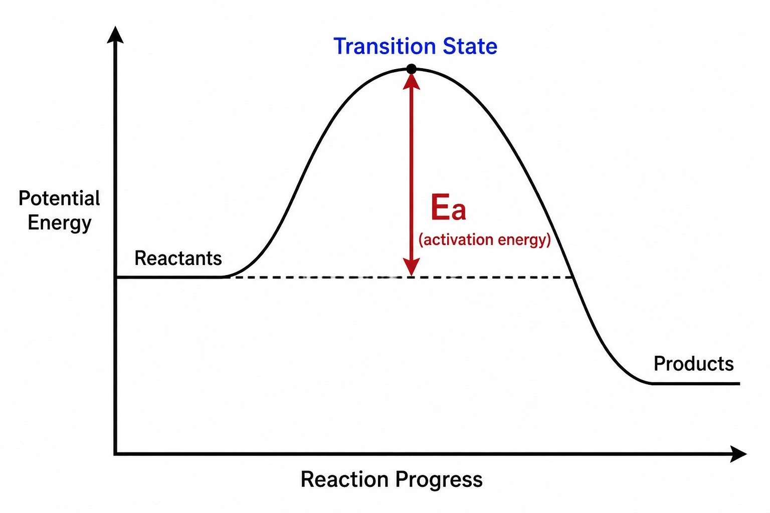Energy diagram highlighting activation energy from reactants to the peak