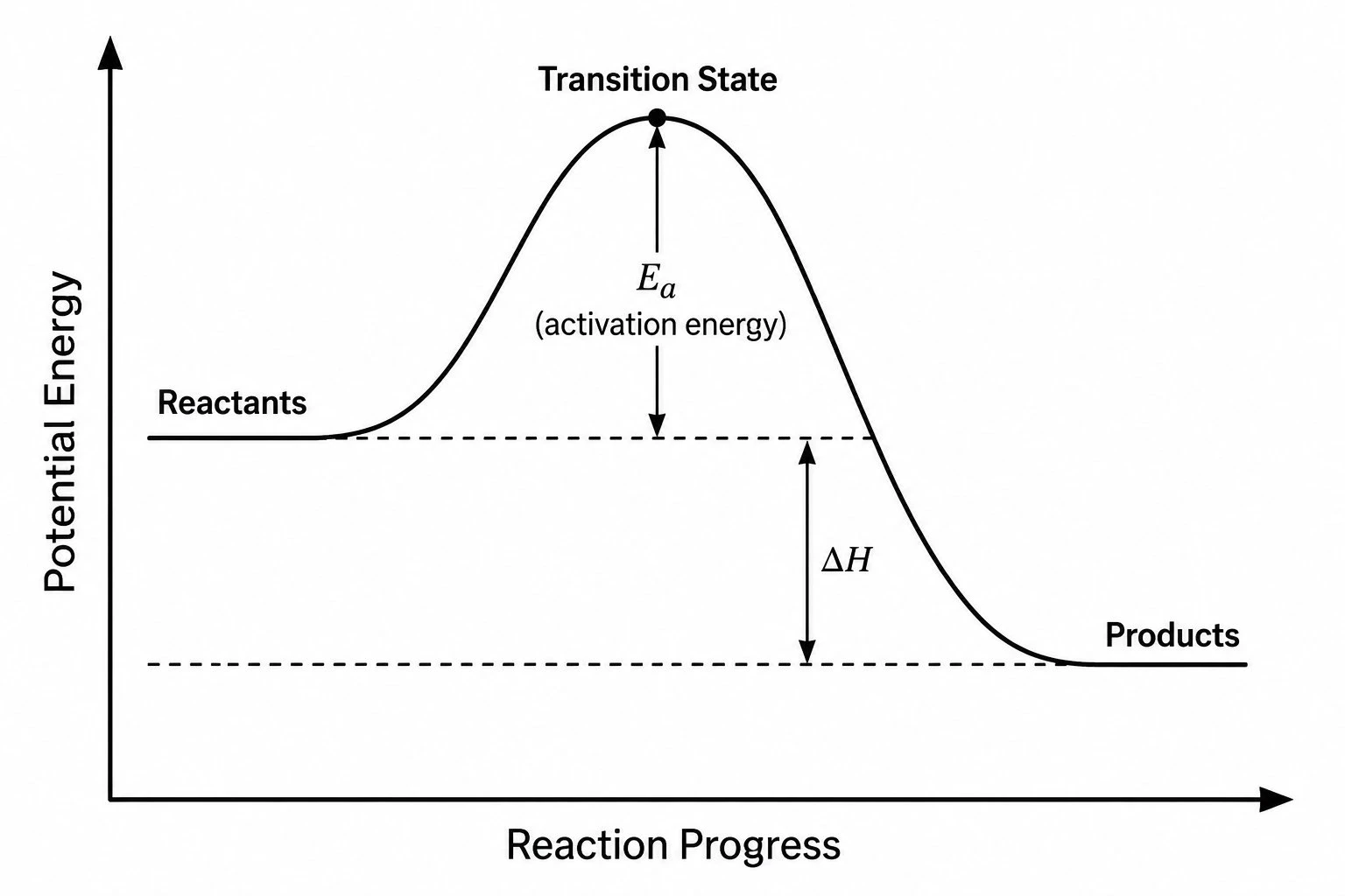 Reaction coordinate diagram with transition state, Ea and ΔH labeled