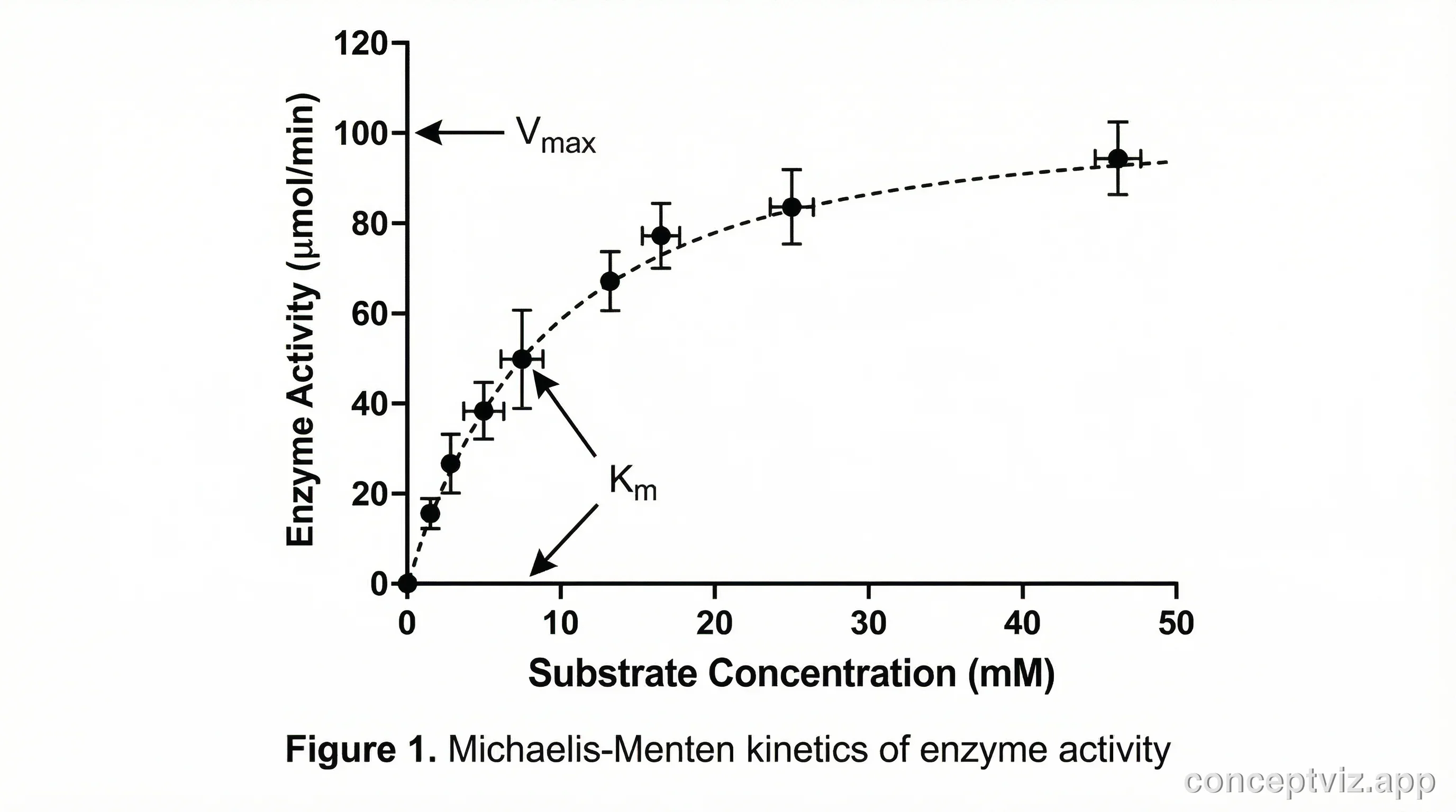 Scatter plot with error bars showing enzyme activity vs substrate concentration with Michaelis-Menten curve overlay.