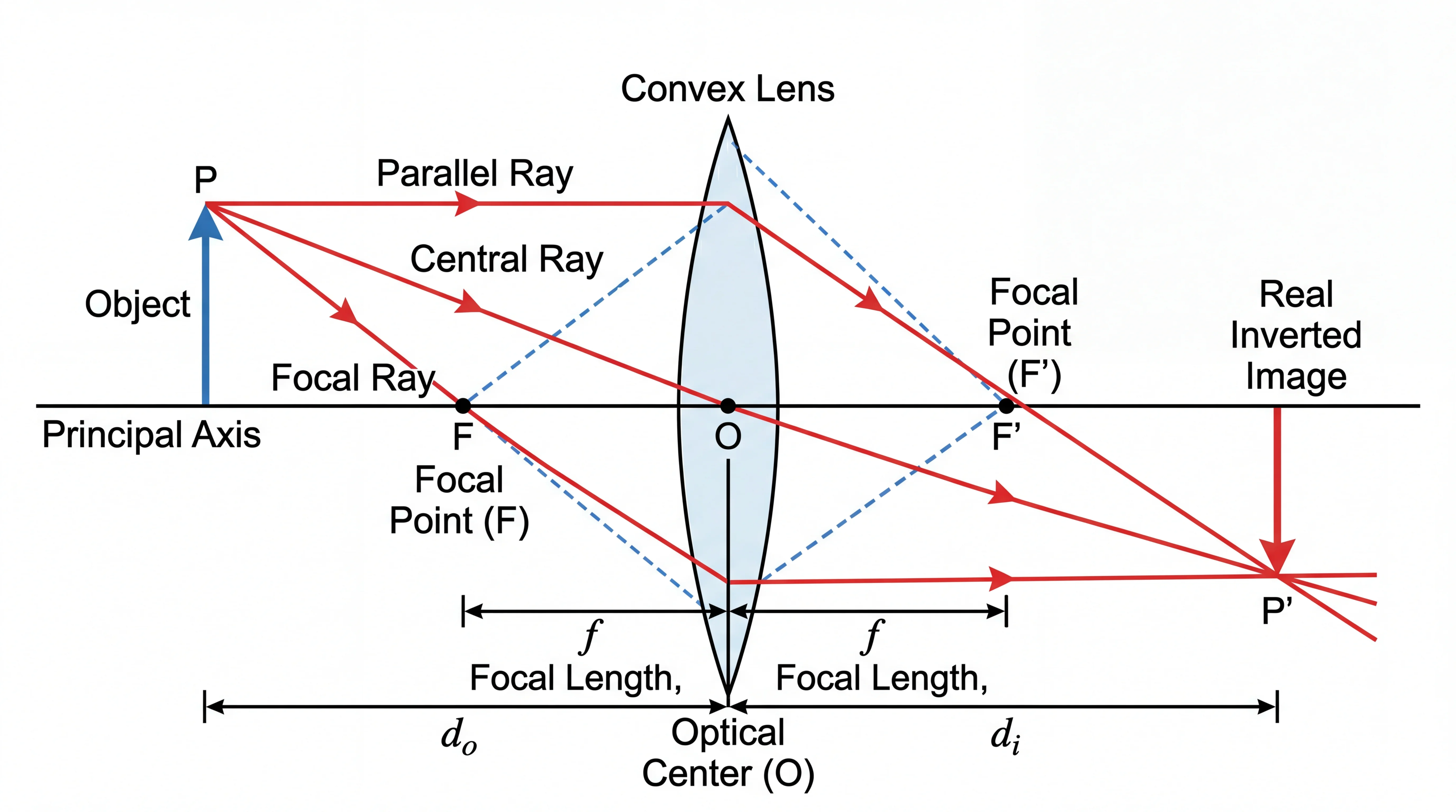 Physics ray diagram showing light refraction through a convex lens with focal points and image formation.