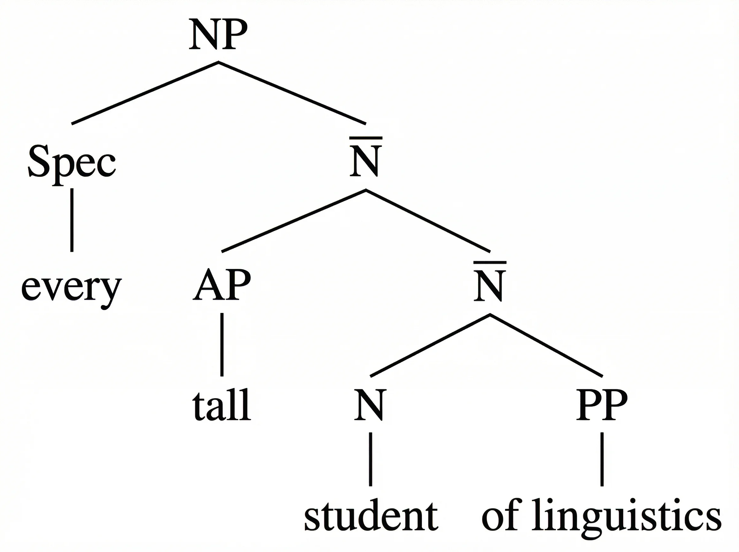 X-bar theory tree diagram for a complex noun phrase showing specifier, adjunct, and complement positions within NP, N-bar, and N projections.