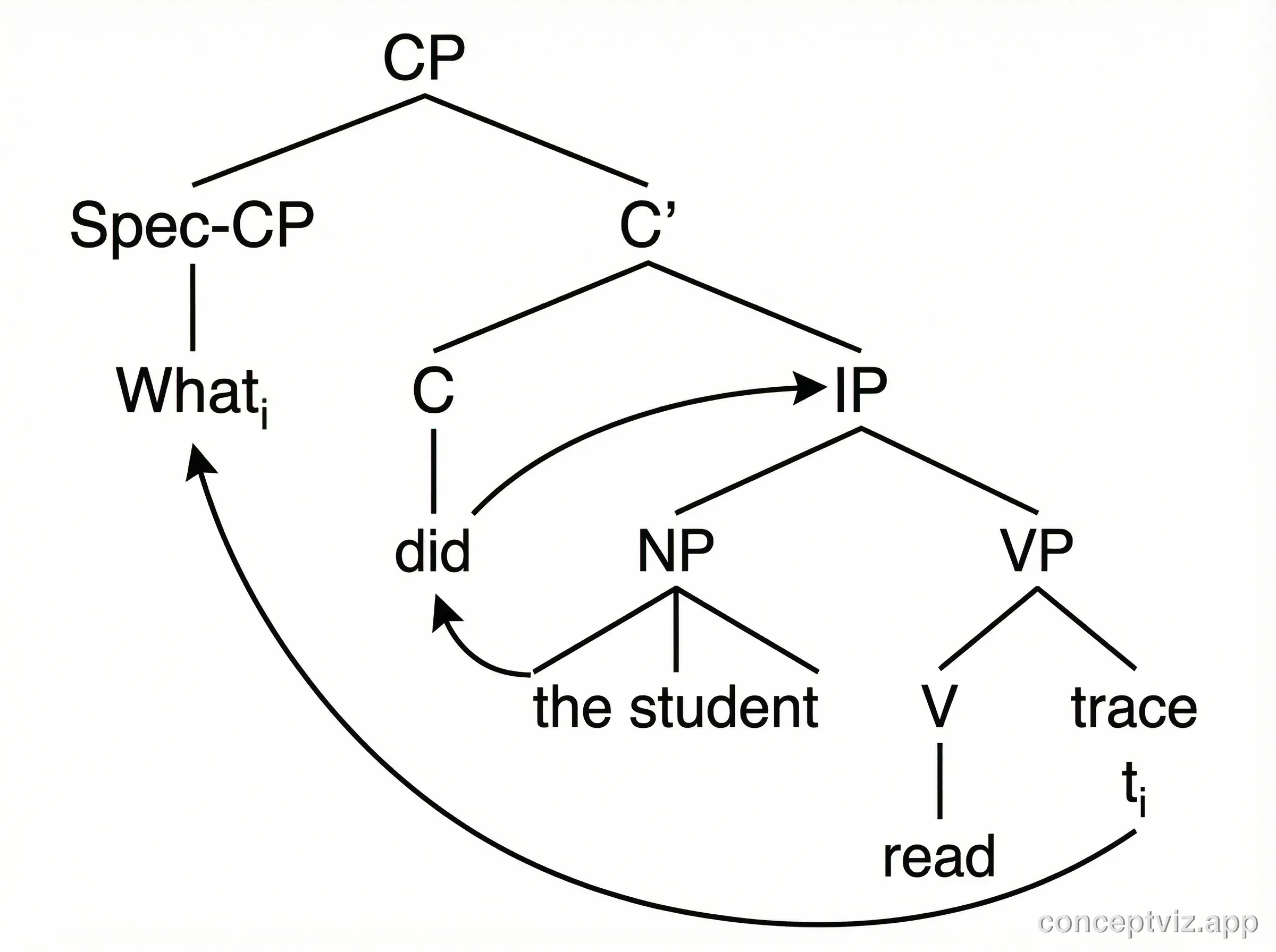Syntactic tree diagram showing wh-movement and subject-auxiliary inversion in the question What did the student read.